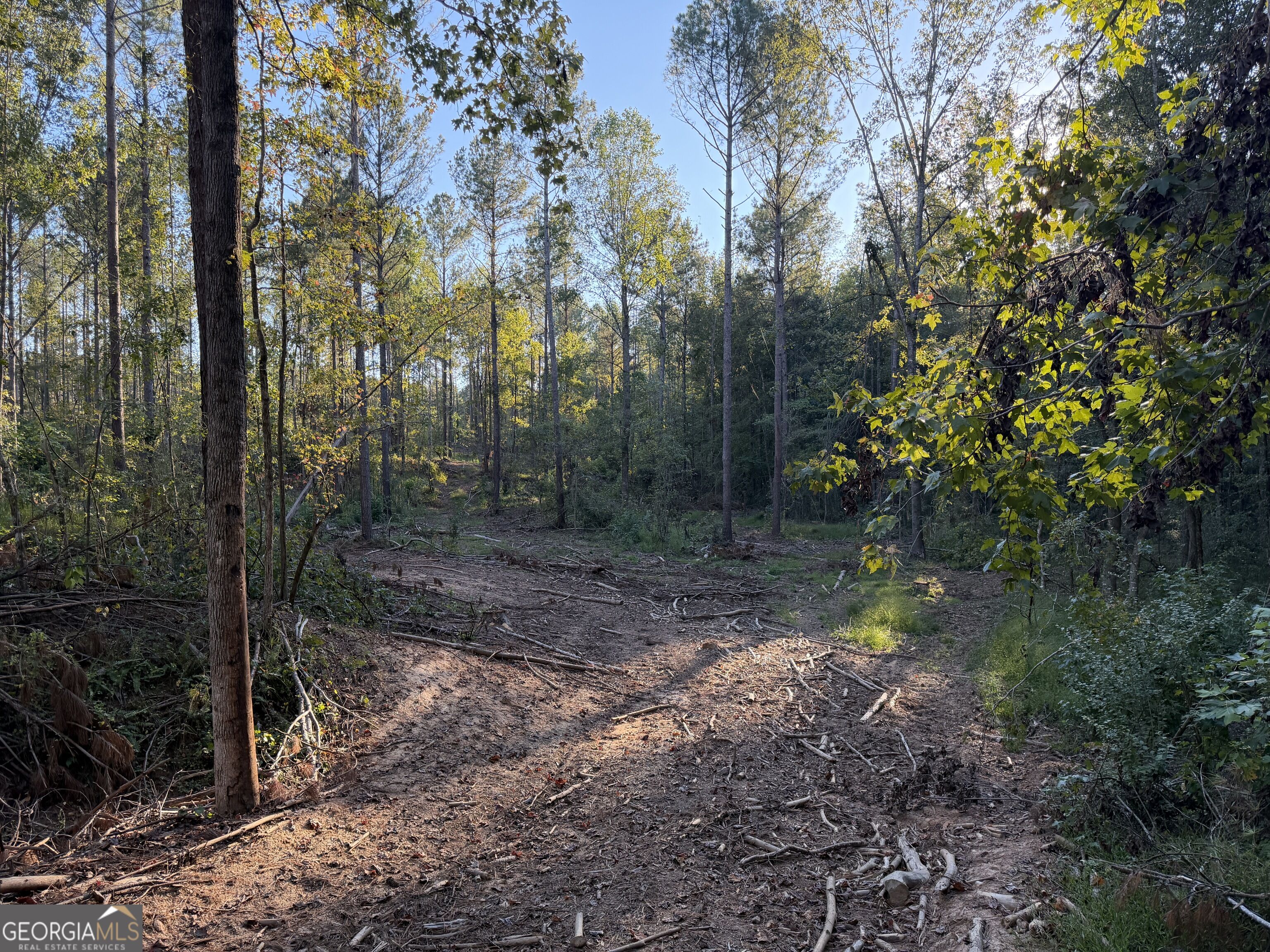 0 Adolphus Callaway Road Rayle GA 30660
