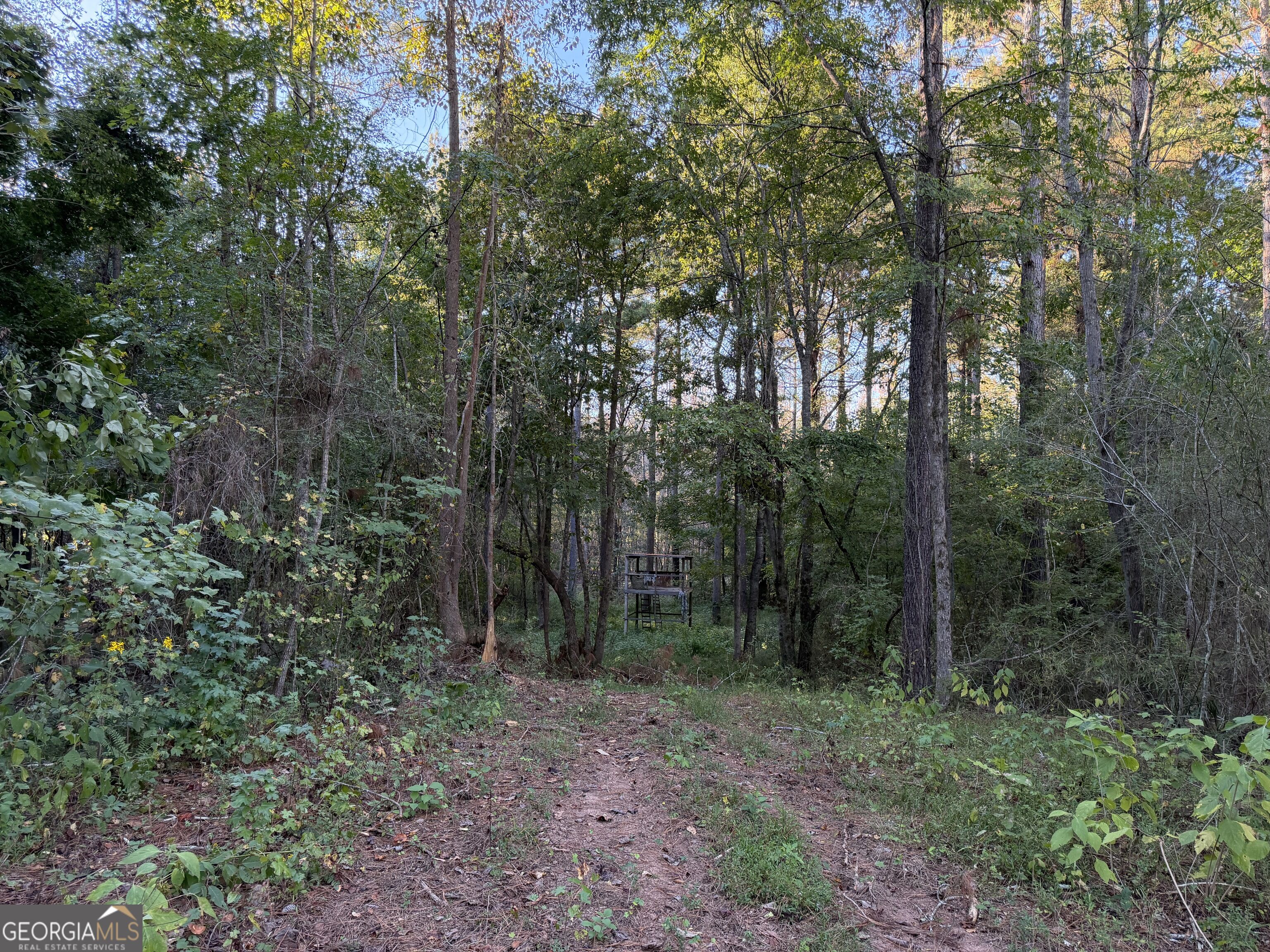 0 Adolphus Callaway Road Rayle GA 30660