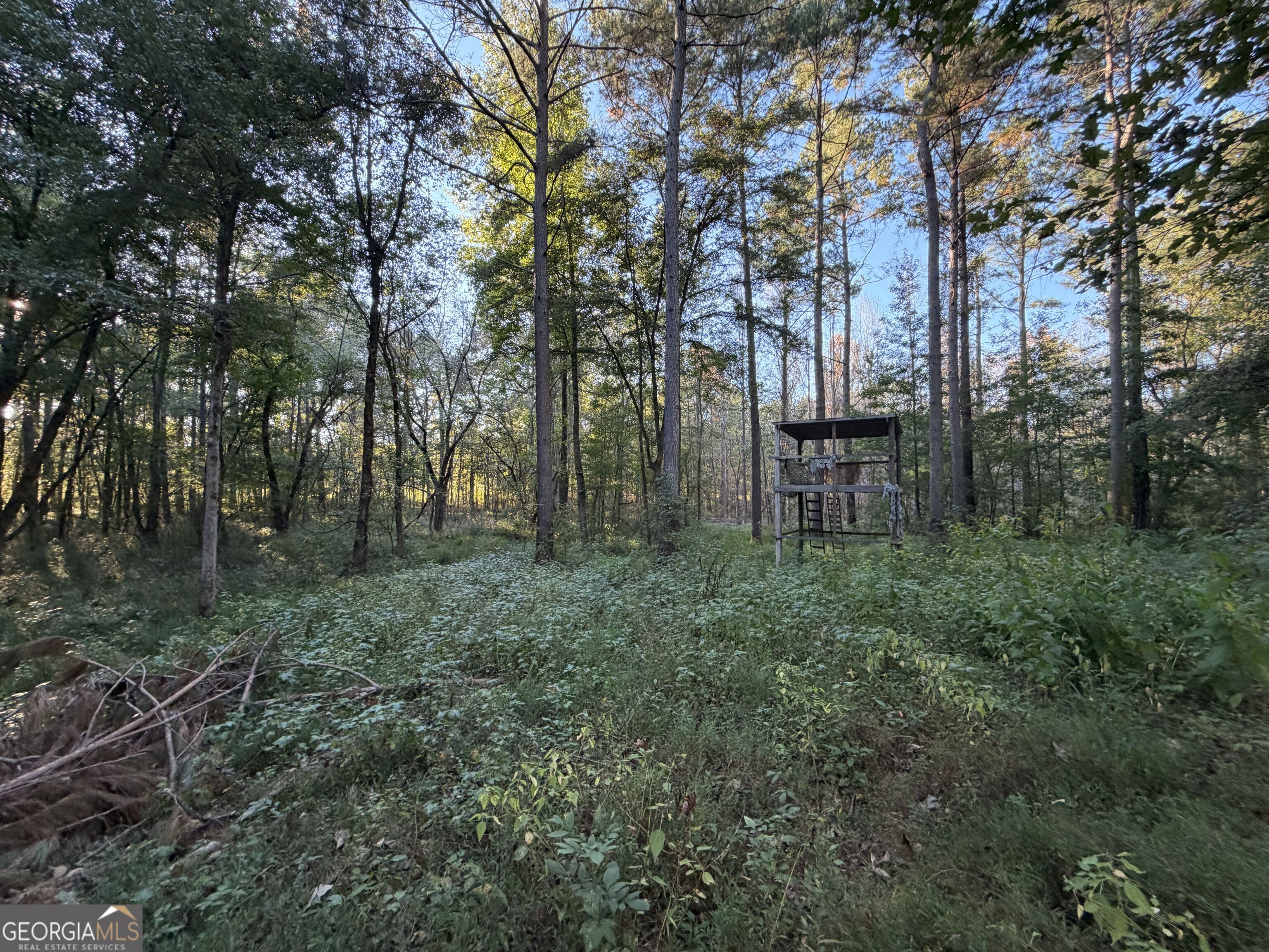 0 Adolphus Callaway Road Rayle GA 30660