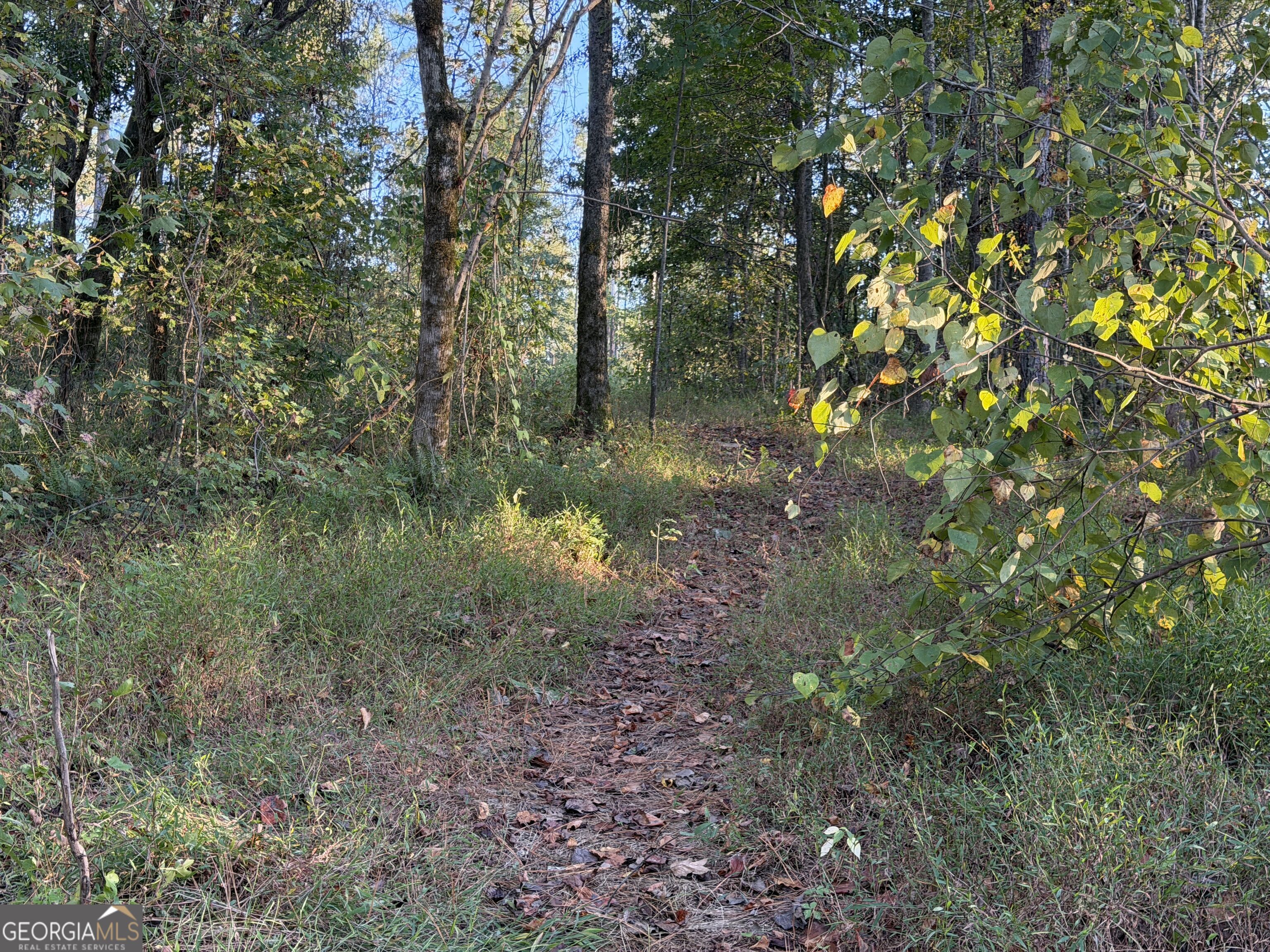 0 Adolphus Callaway Road Rayle GA 30660