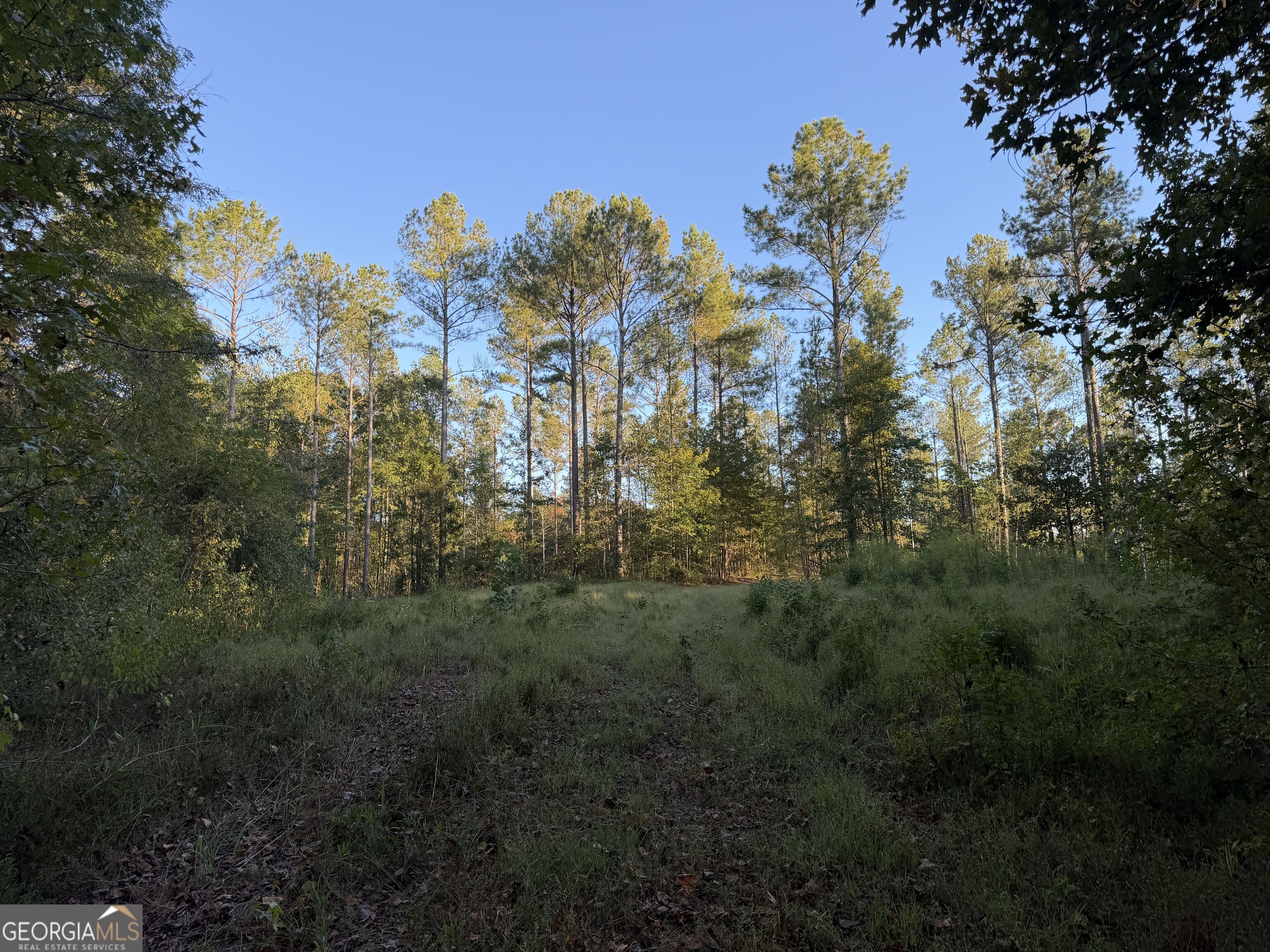 0 Adolphus Callaway Road Rayle GA 30660