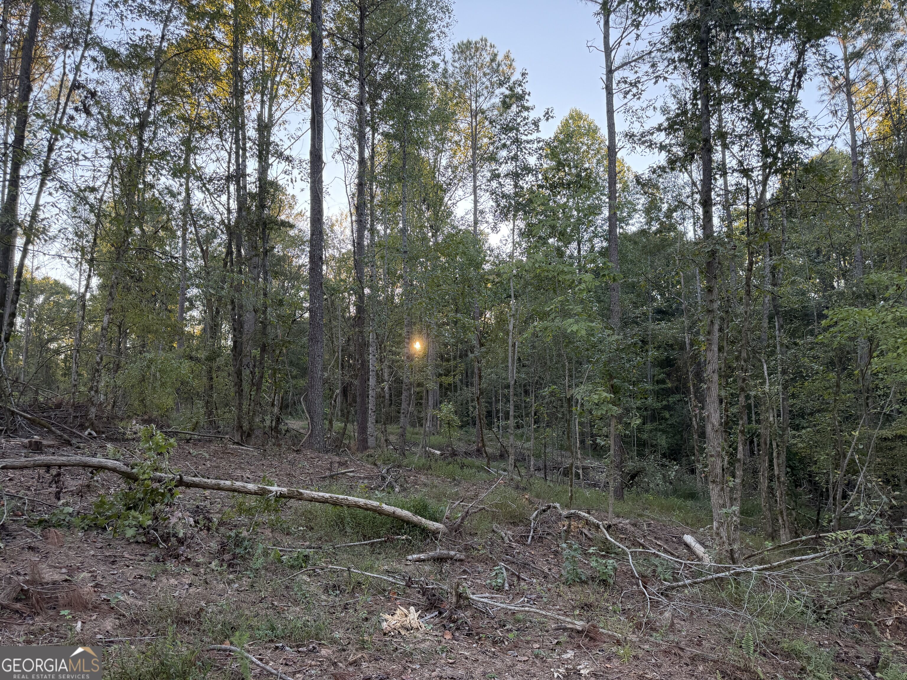 0 Adolphus Callaway Road Rayle GA 30660