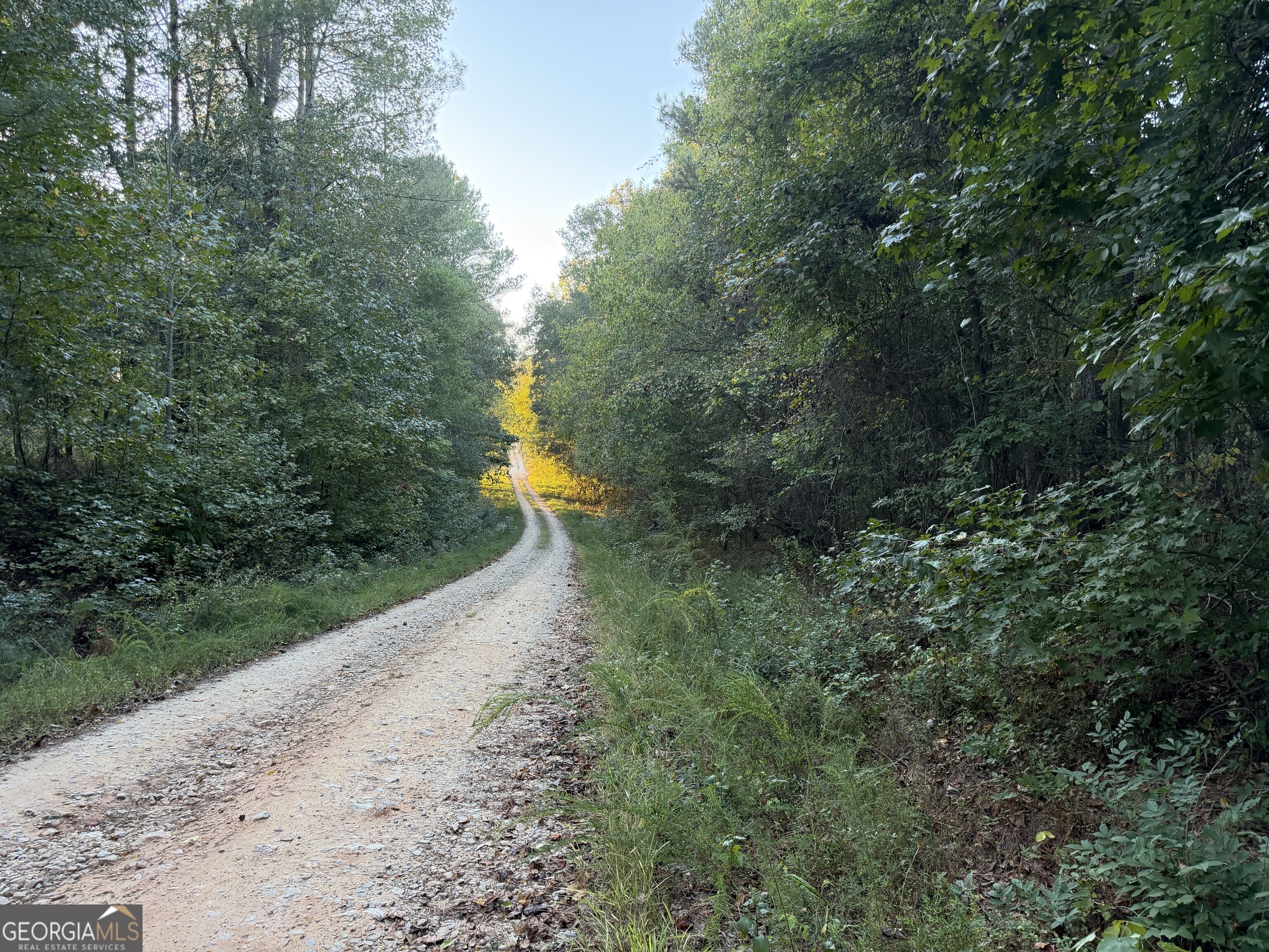 0 Adolphus Callaway Road Rayle GA 30660