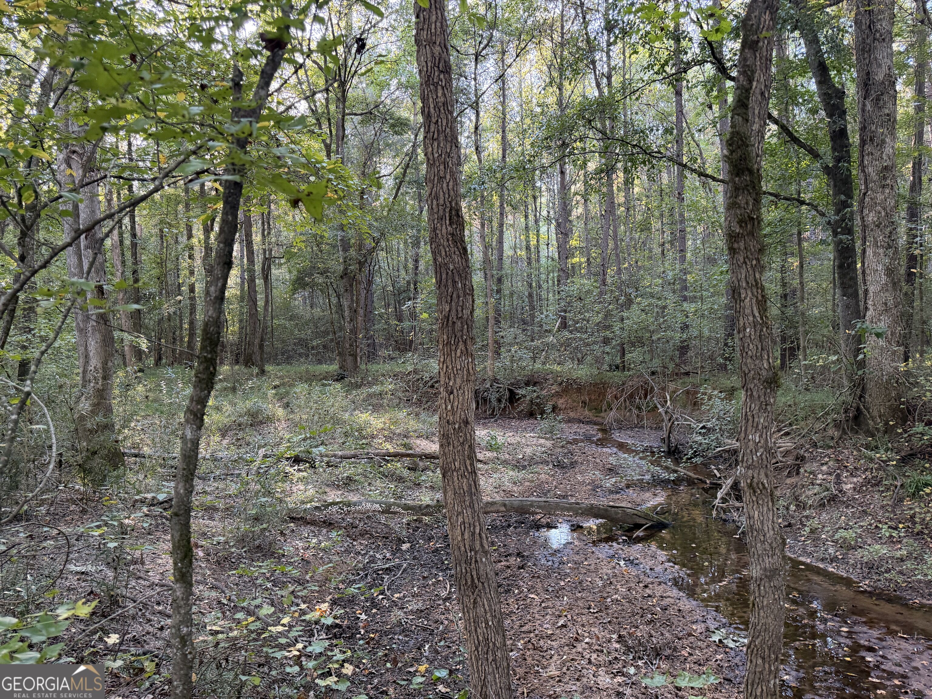 0 Adolphus Callaway Road Rayle GA 30660