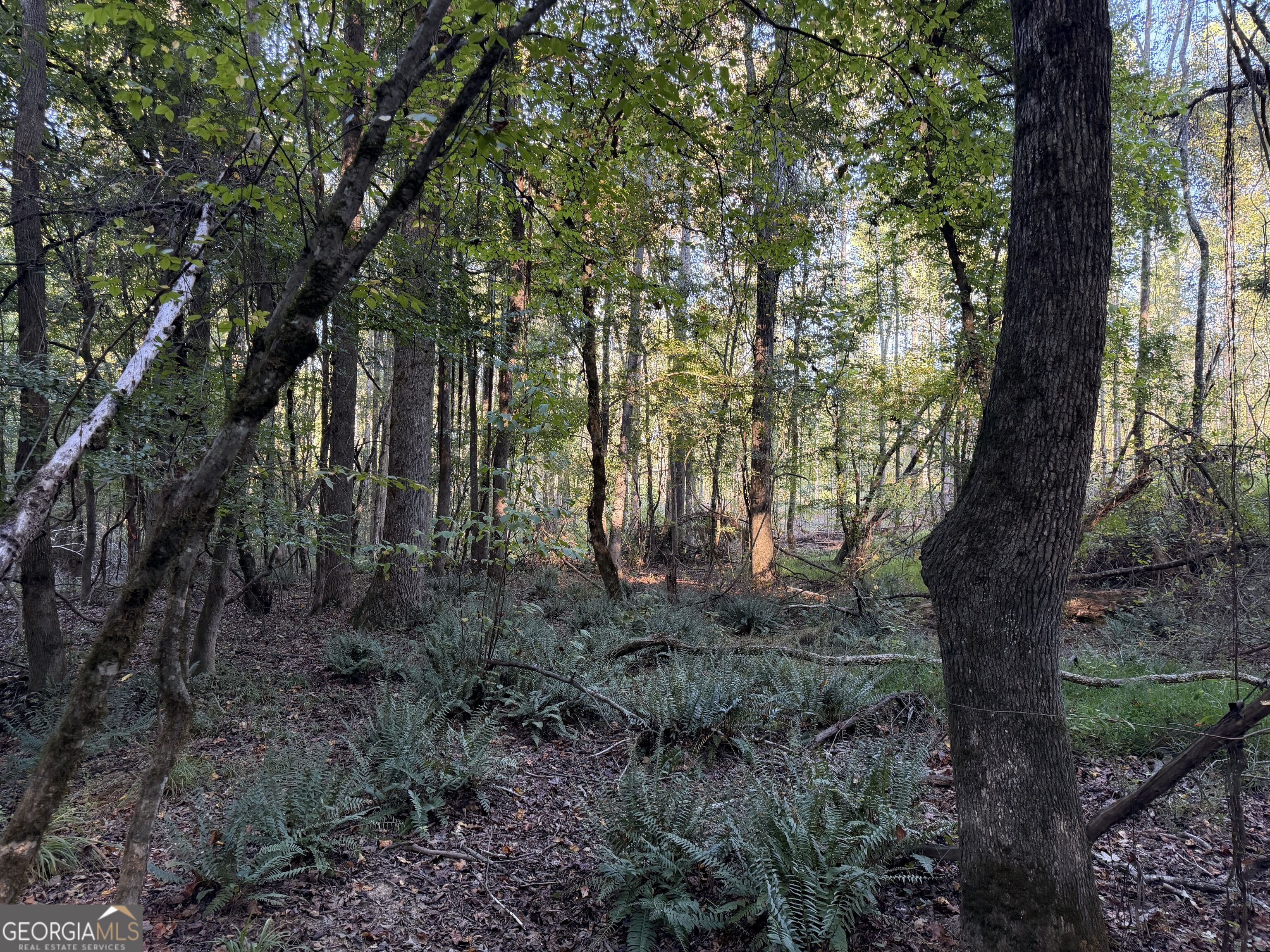 0 Adolphus Callaway Road Rayle GA 30660