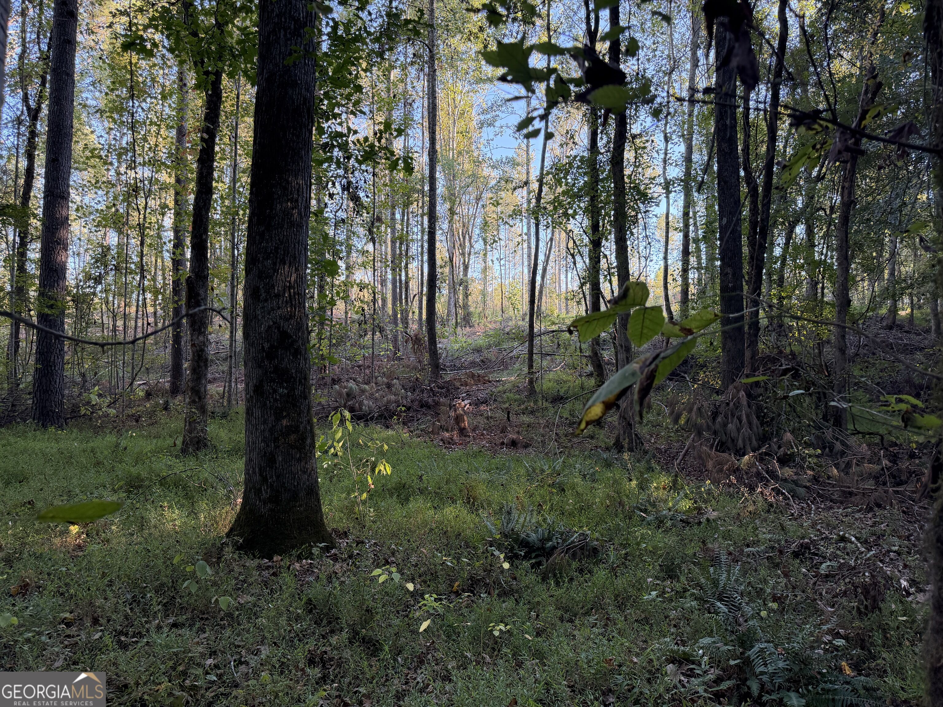 0 Adolphus Callaway Road Rayle GA 30660