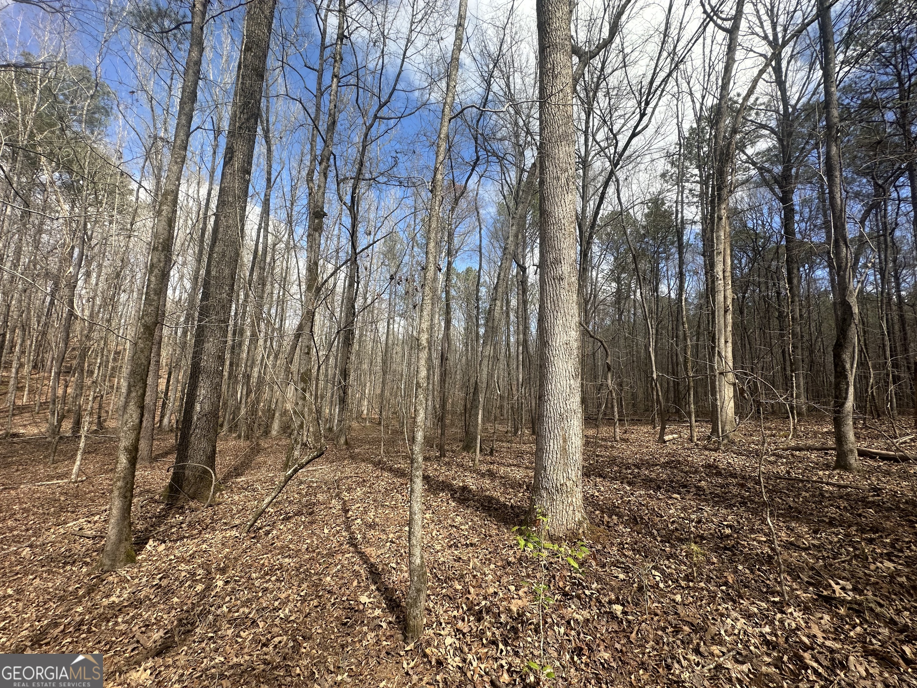 0 Gibson Road Talbotton GA 31827