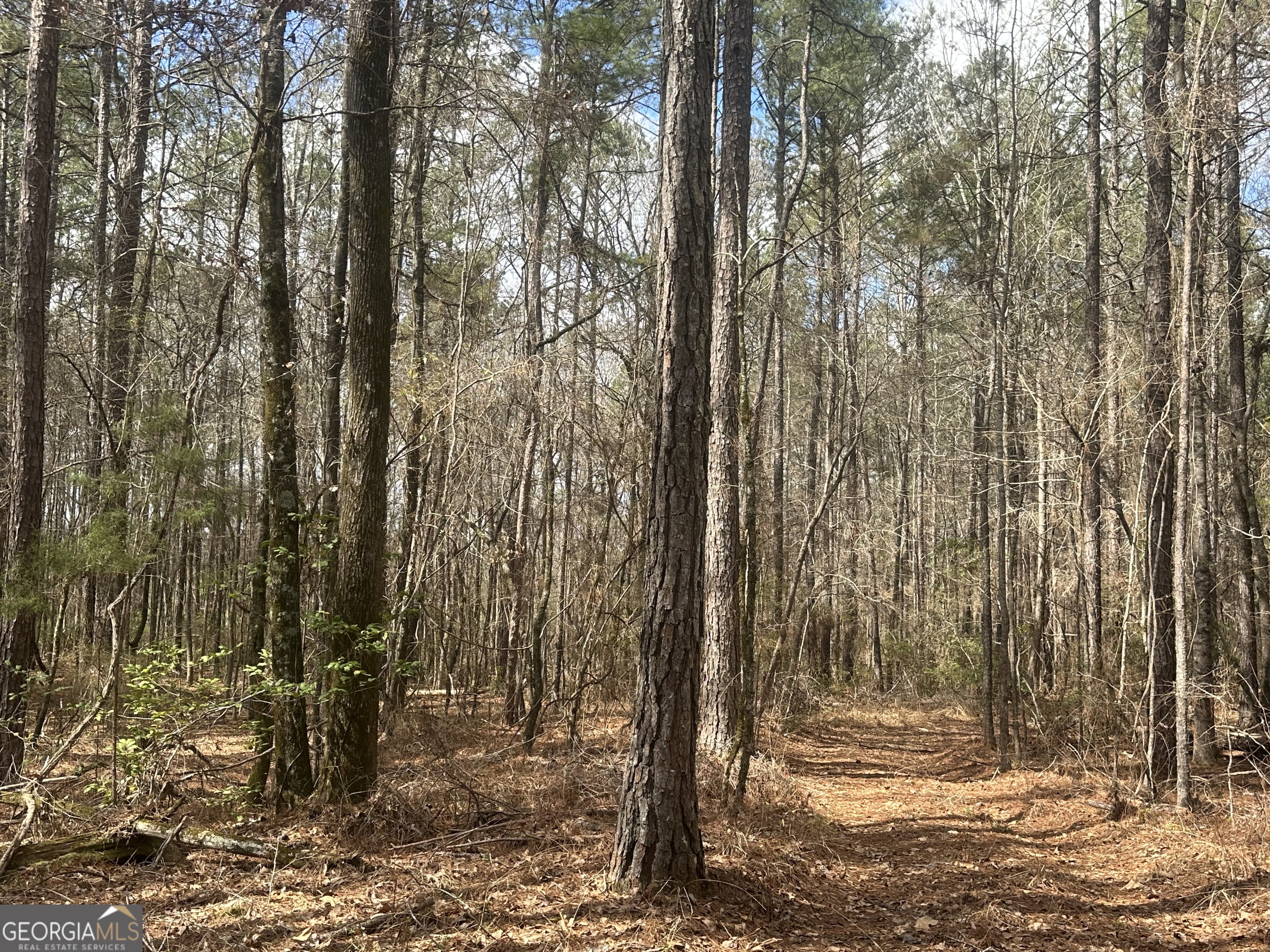 0 Gibson Road Talbotton GA 31827