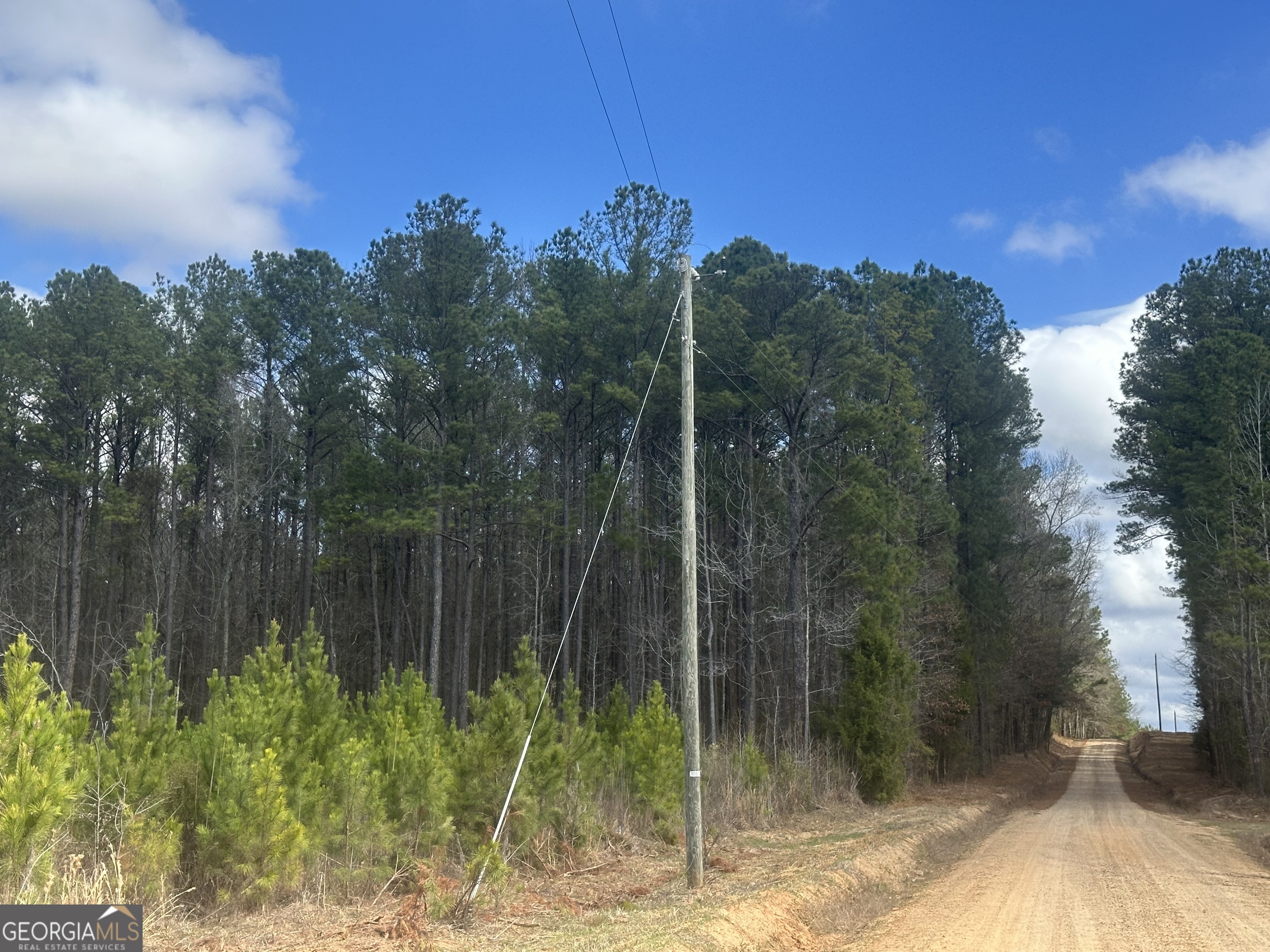 0 Gibson Road Talbotton GA 31827