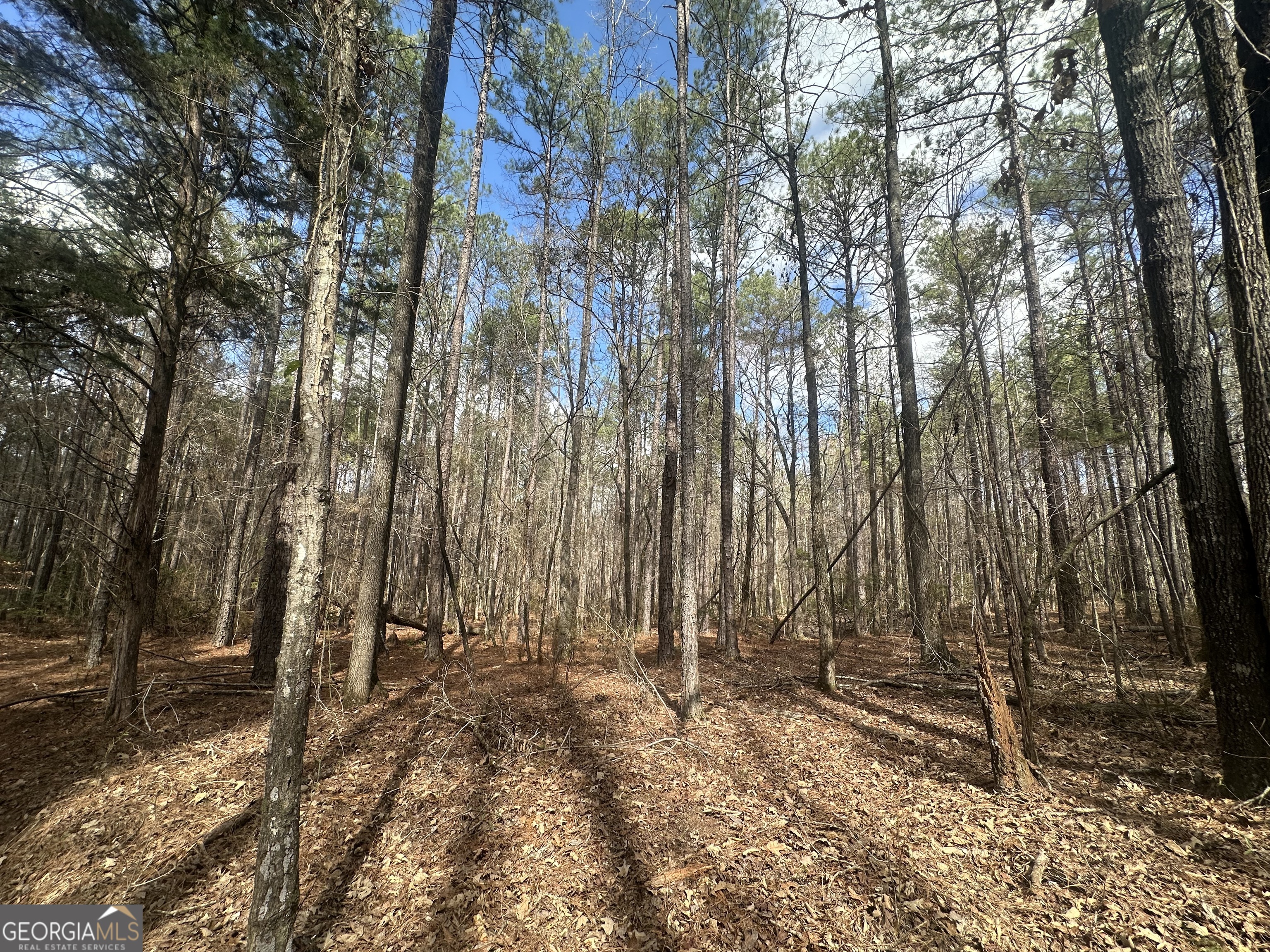 0 Gibson Road Talbotton GA 31827