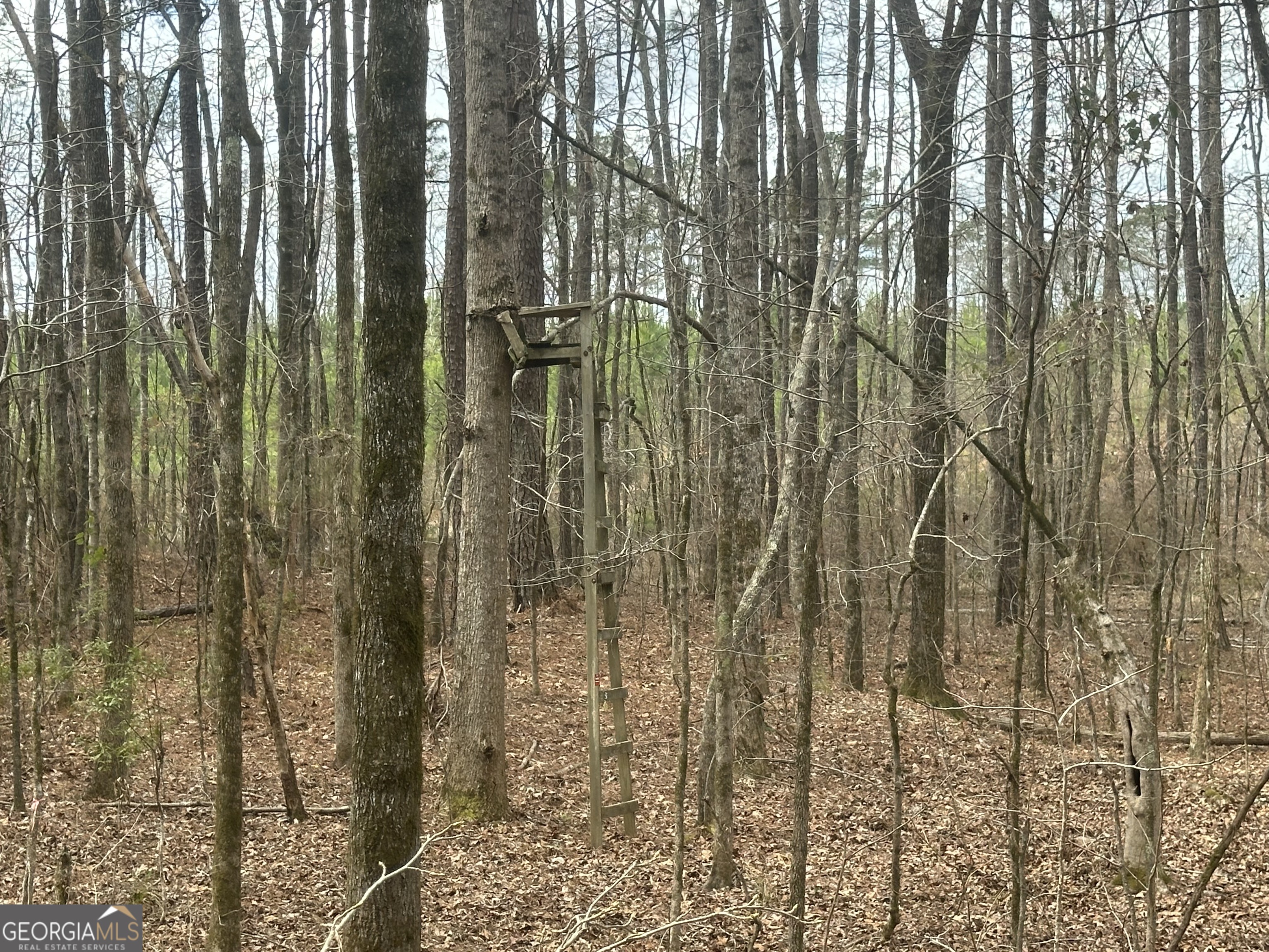 0 Gibson Road Talbotton GA 31827