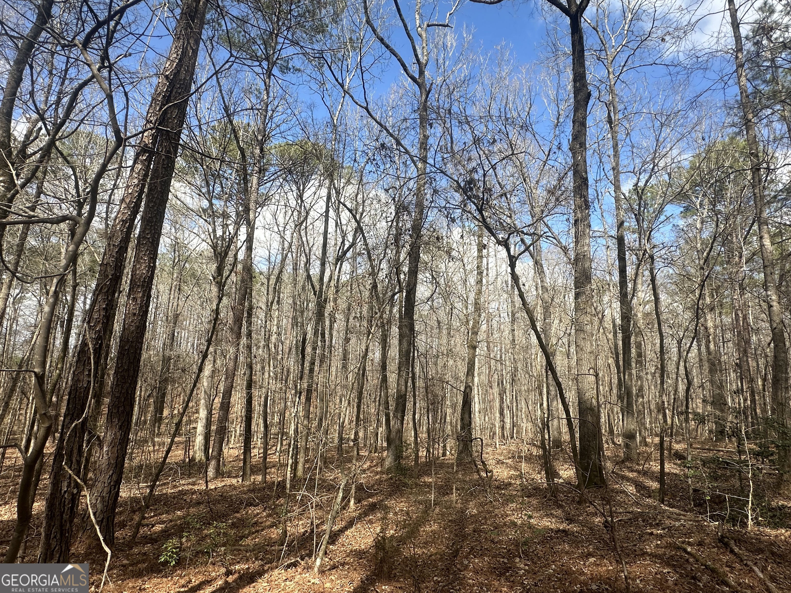 0 Gibson Road Talbotton GA 31827