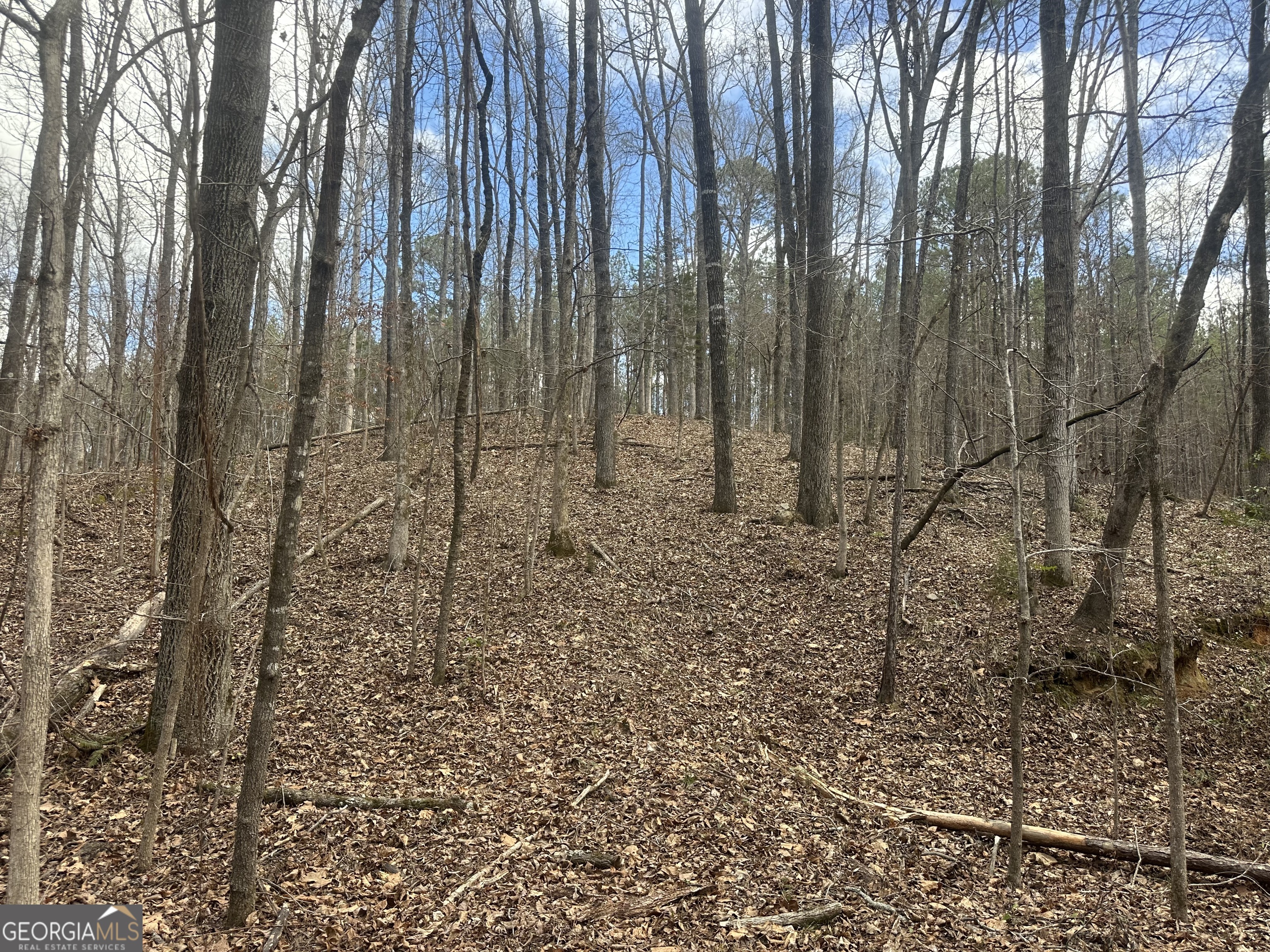 0 Gibson Road Talbotton GA 31827