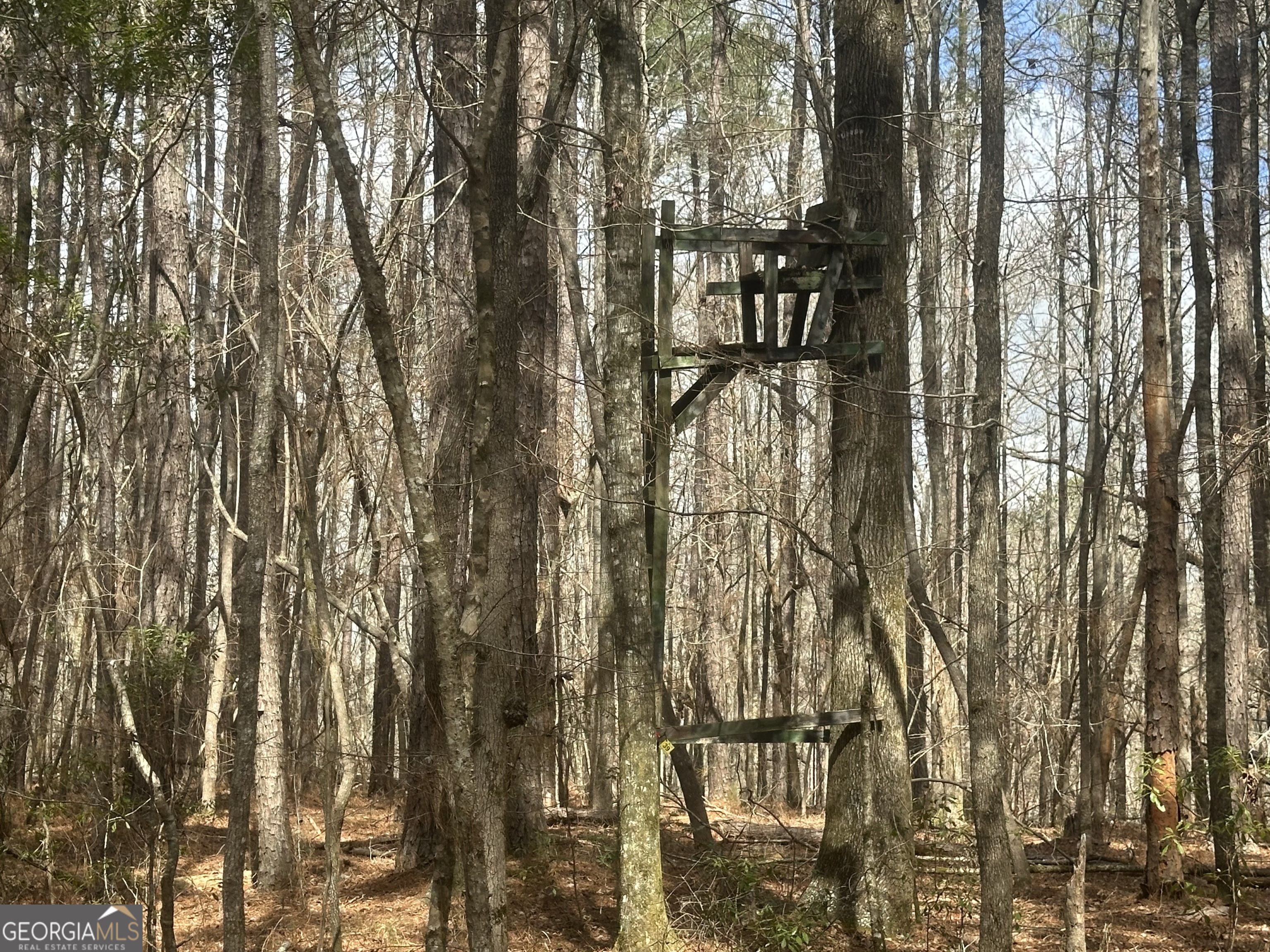 0 Gibson Road Talbotton GA 31827