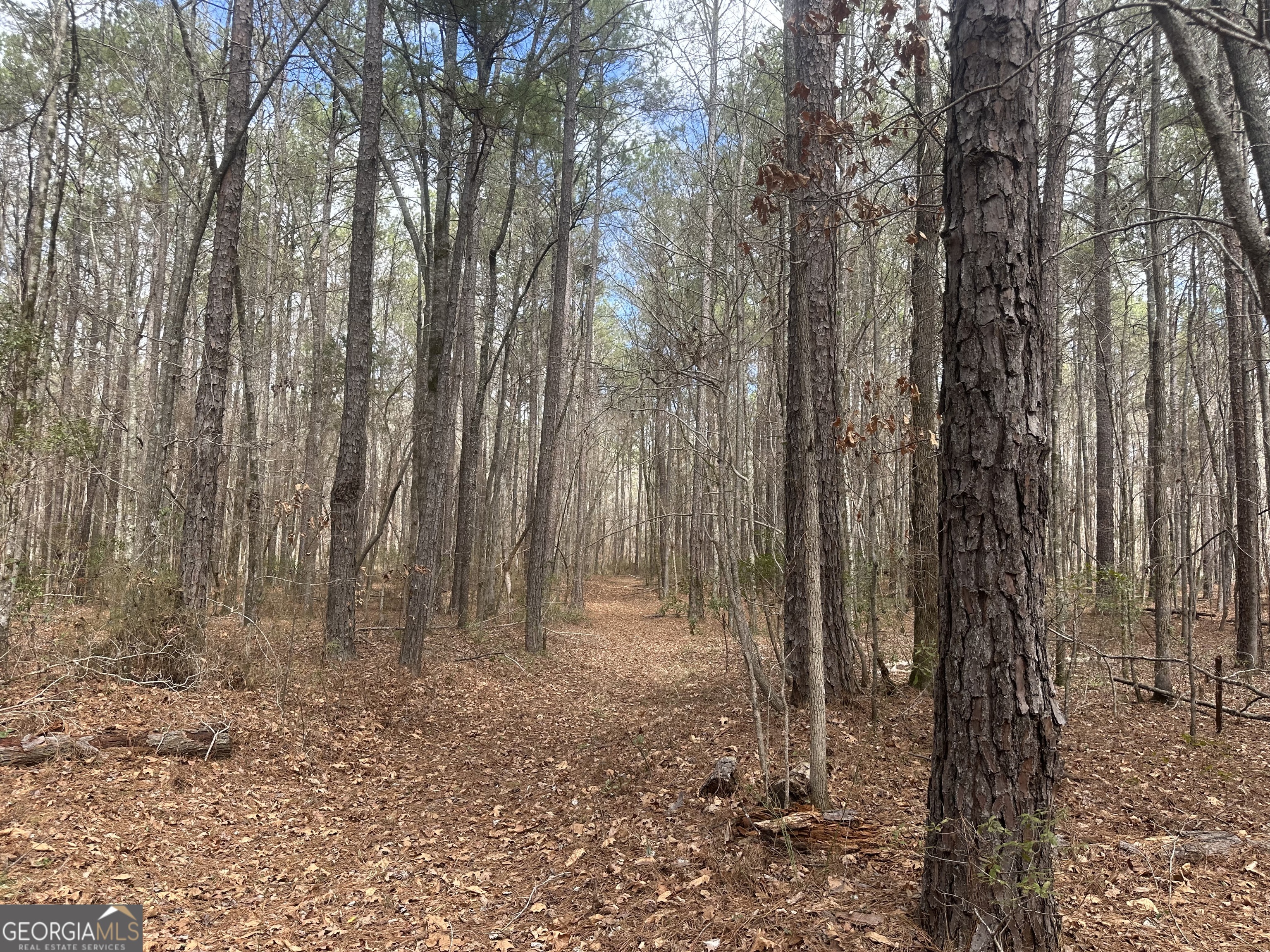 0 Gibson Road Talbotton GA 31827