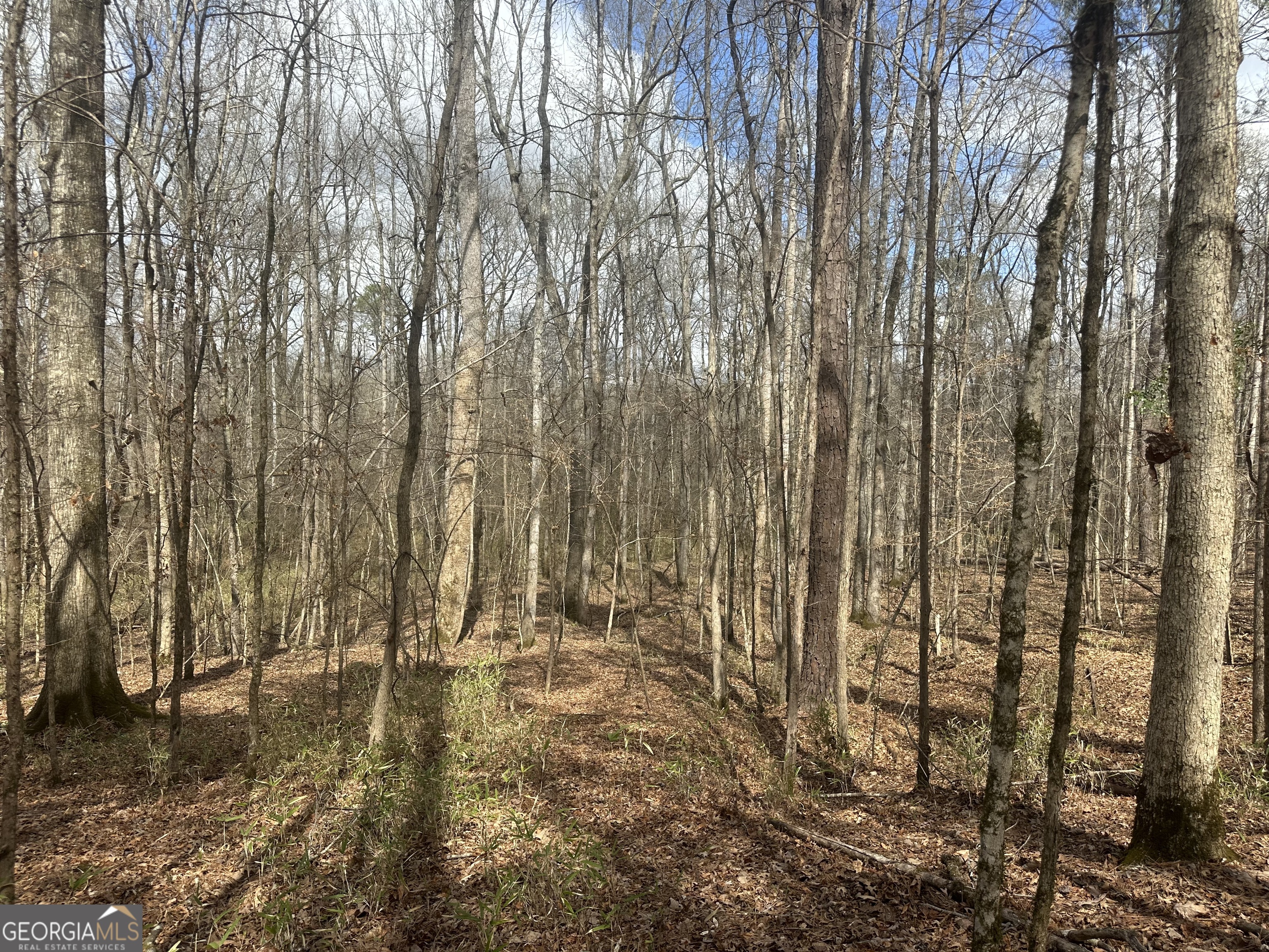 0 Gibson Road Talbotton GA 31827