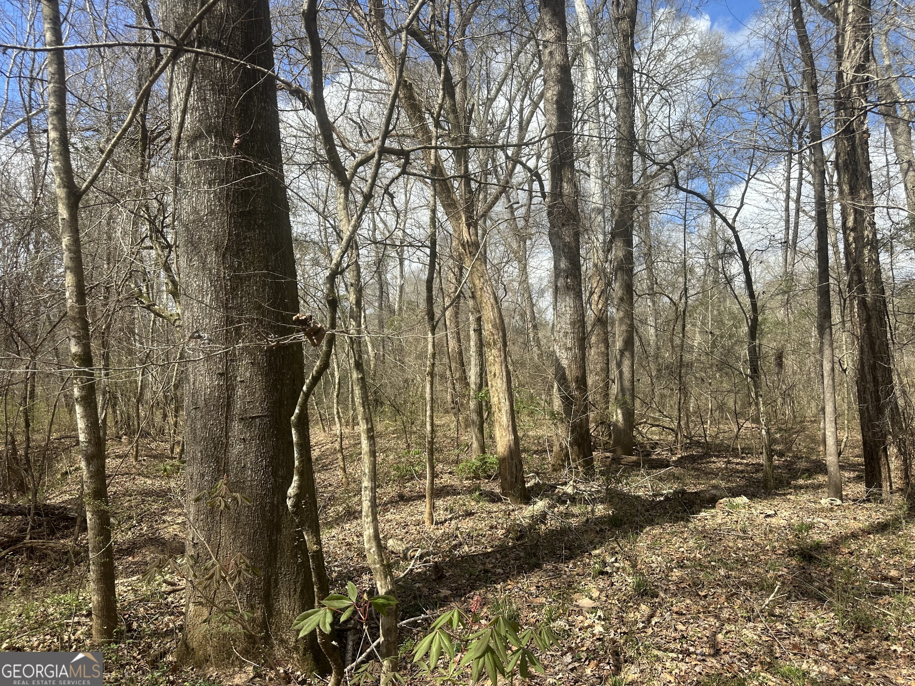 0 Gibson Road Talbotton GA 31827