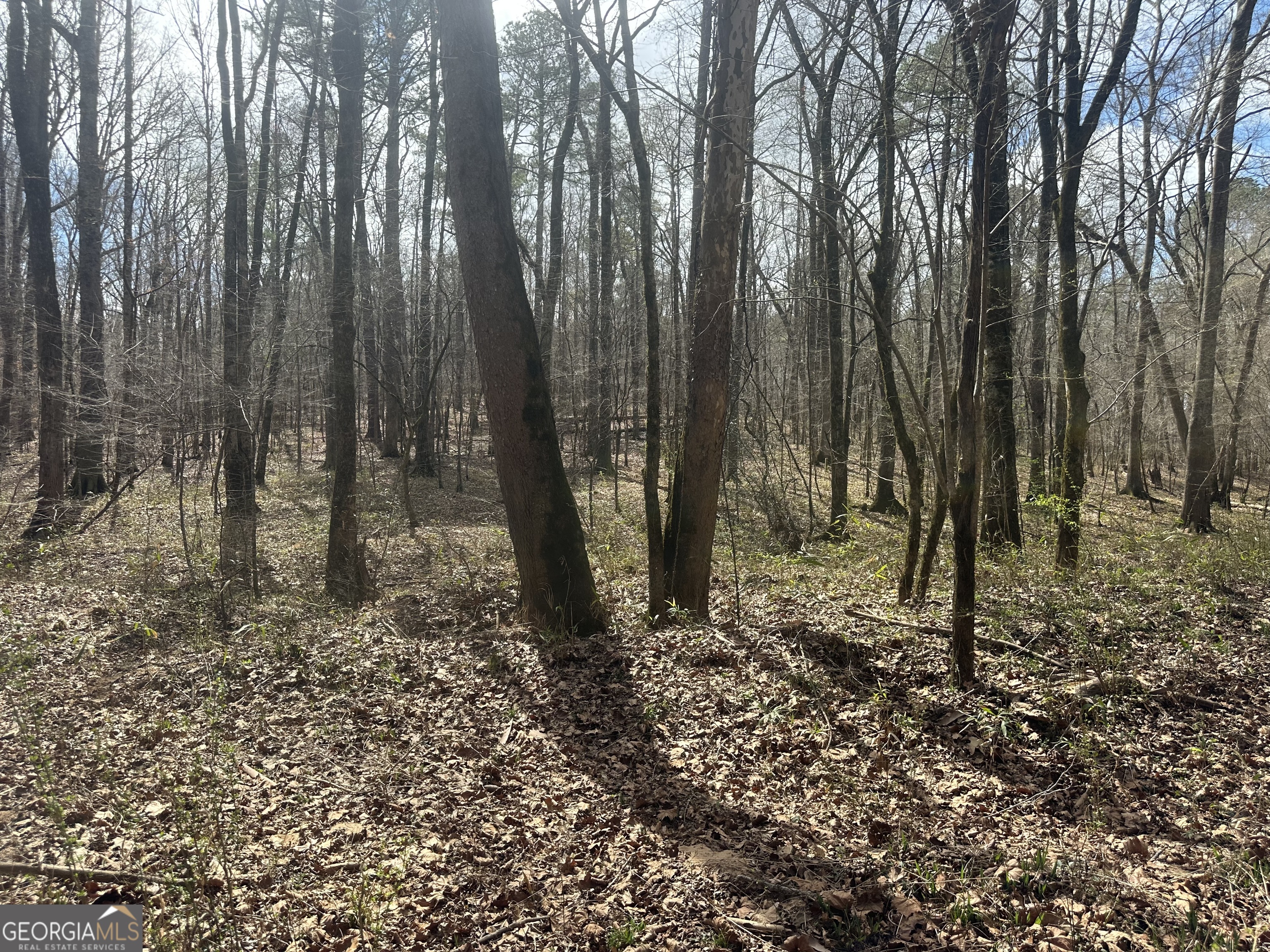 0 Gibson Road Talbotton GA 31827