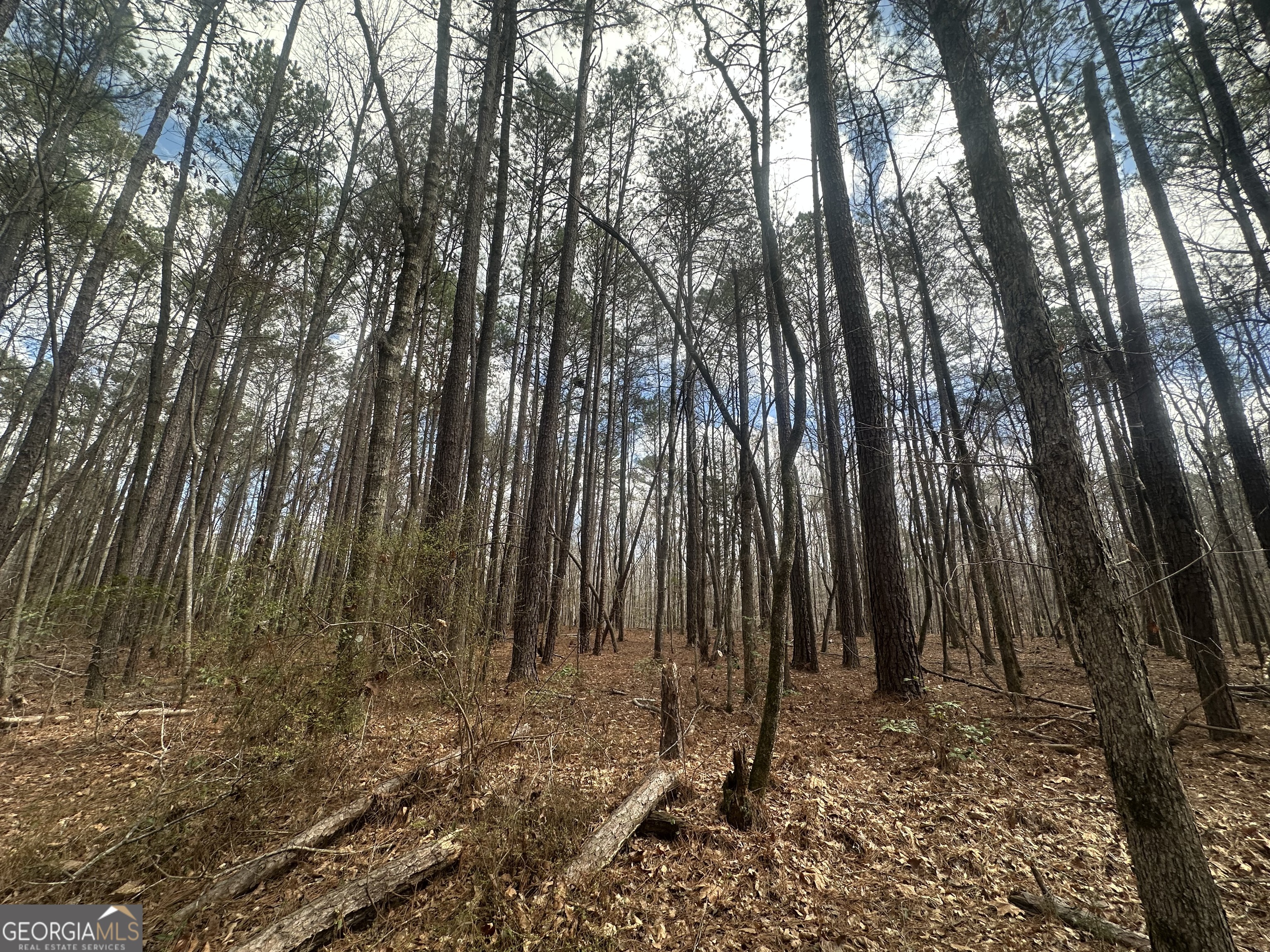 0 Gibson Road Talbotton GA 31827
