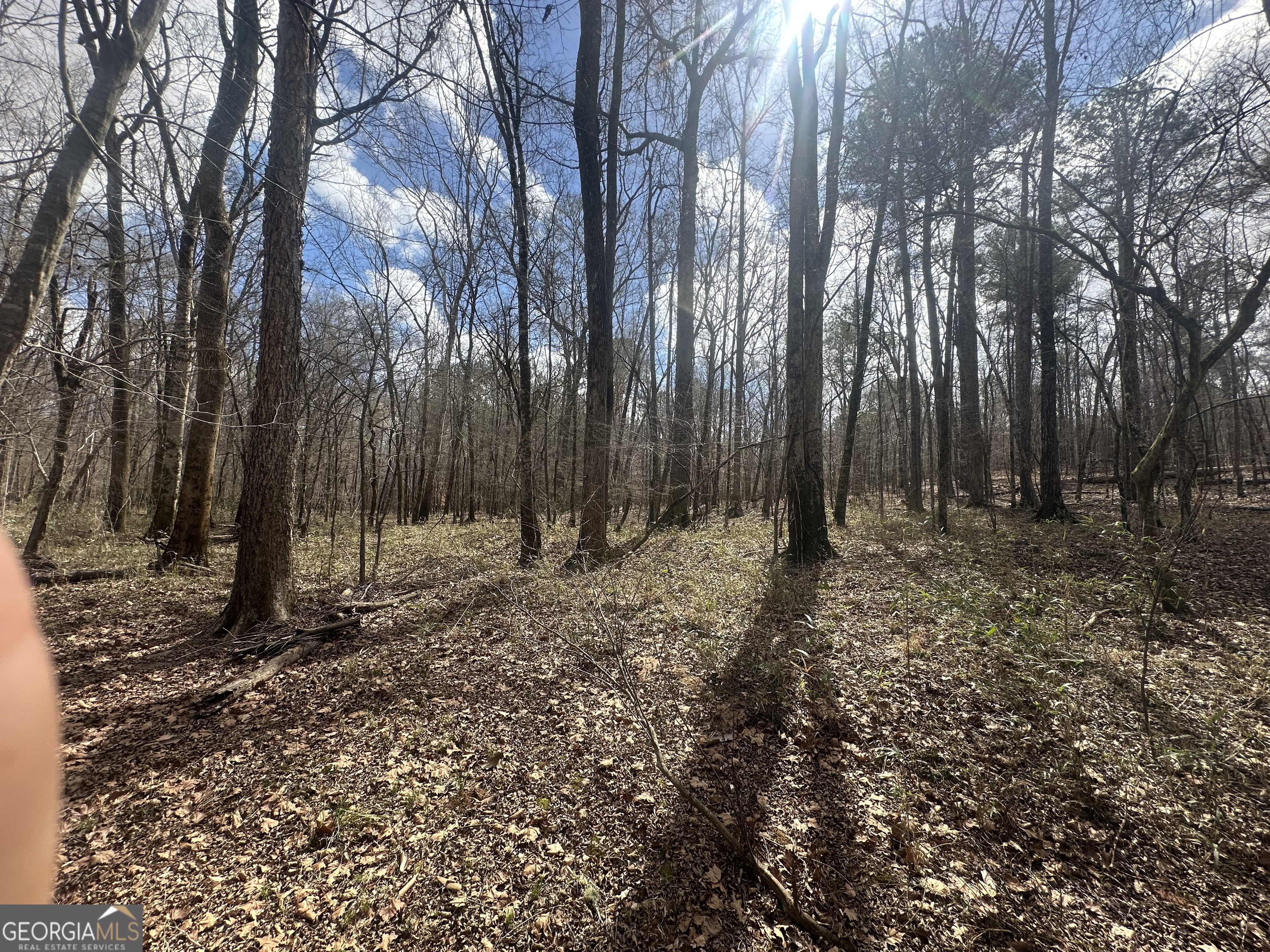 0 Gibson Road Talbotton GA 31827