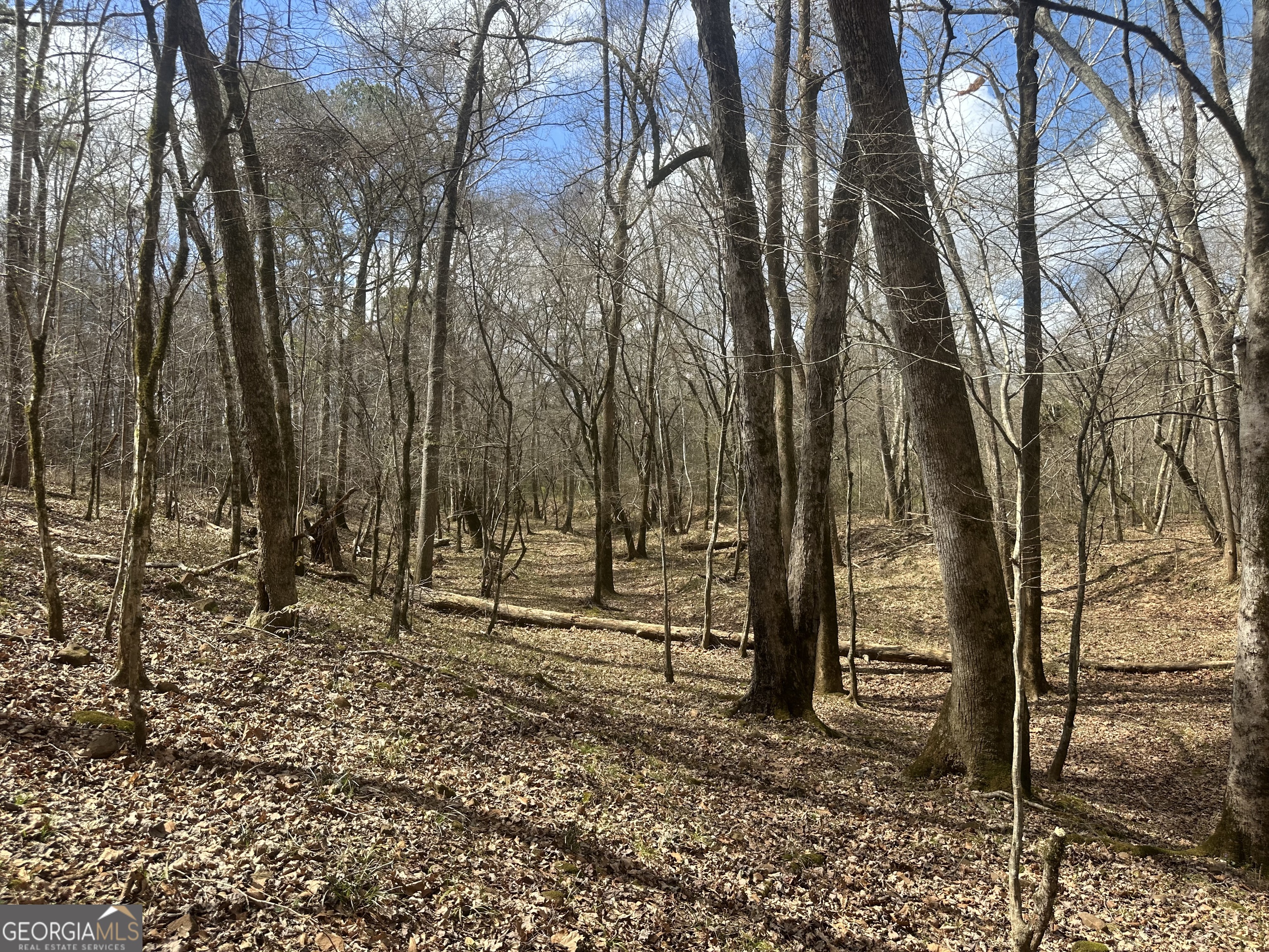 0 Gibson Road Talbotton GA 31827