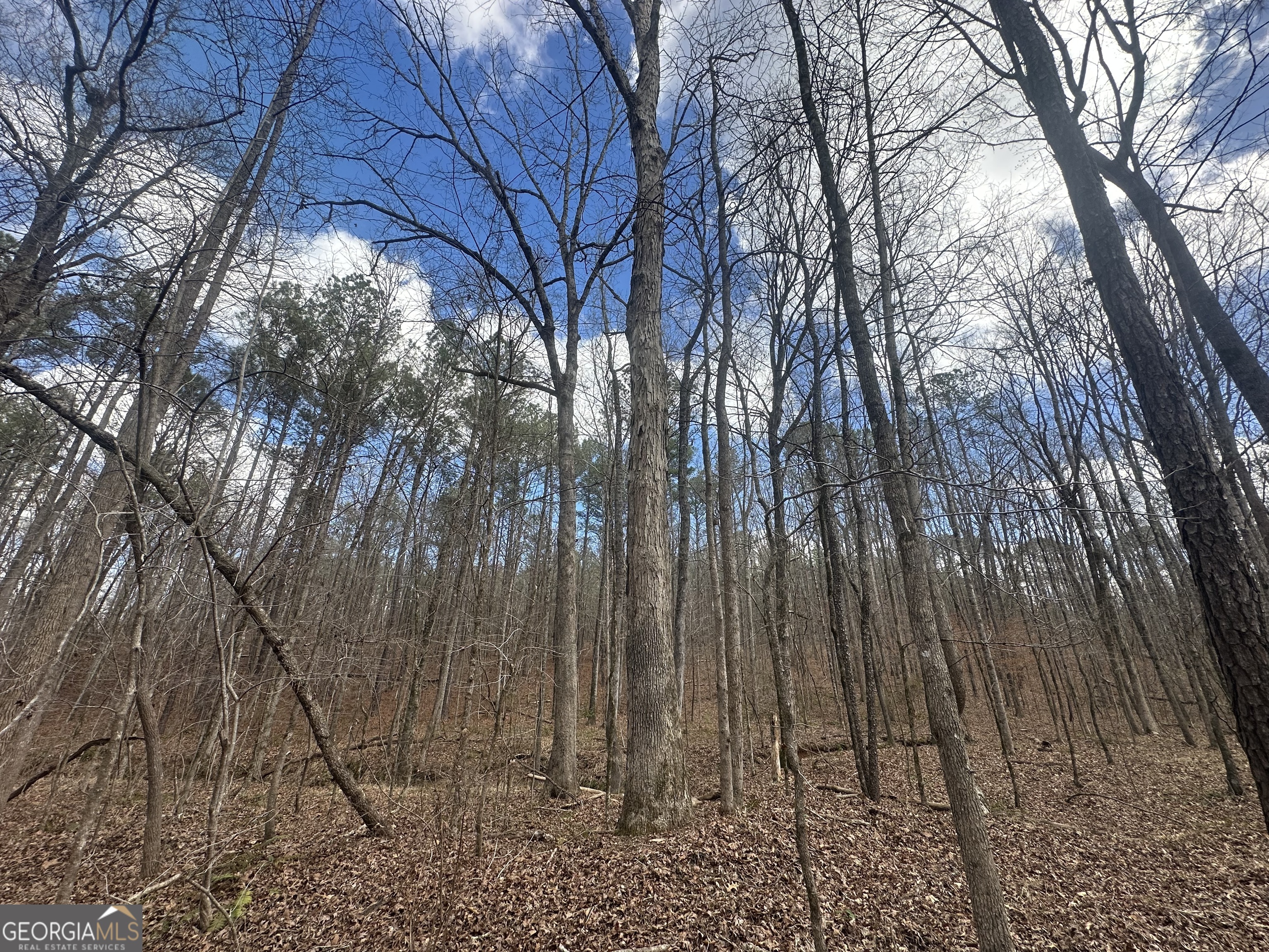 0 Gibson Road Talbotton GA 31827