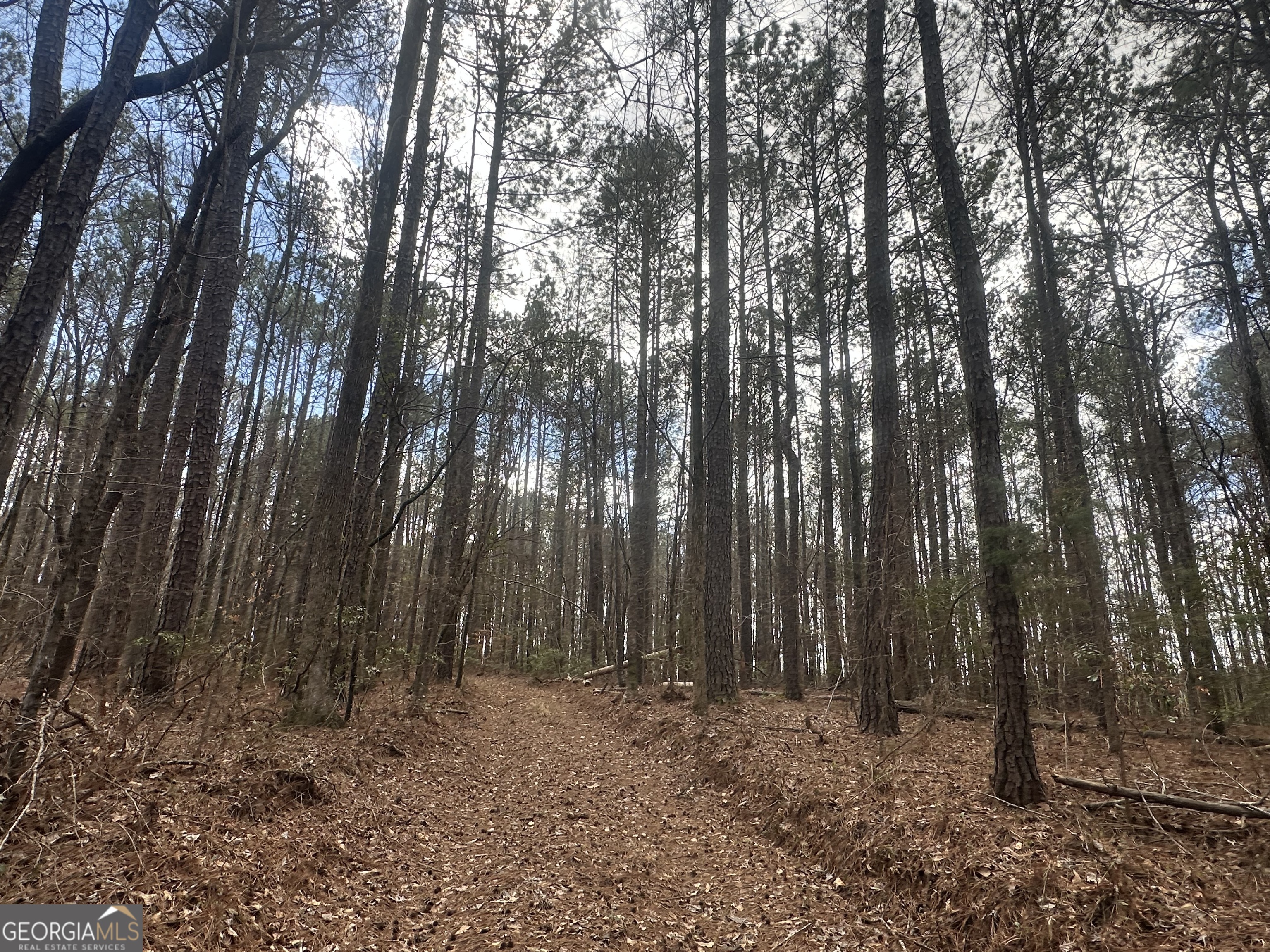0 Gibson Road Talbotton GA 31827