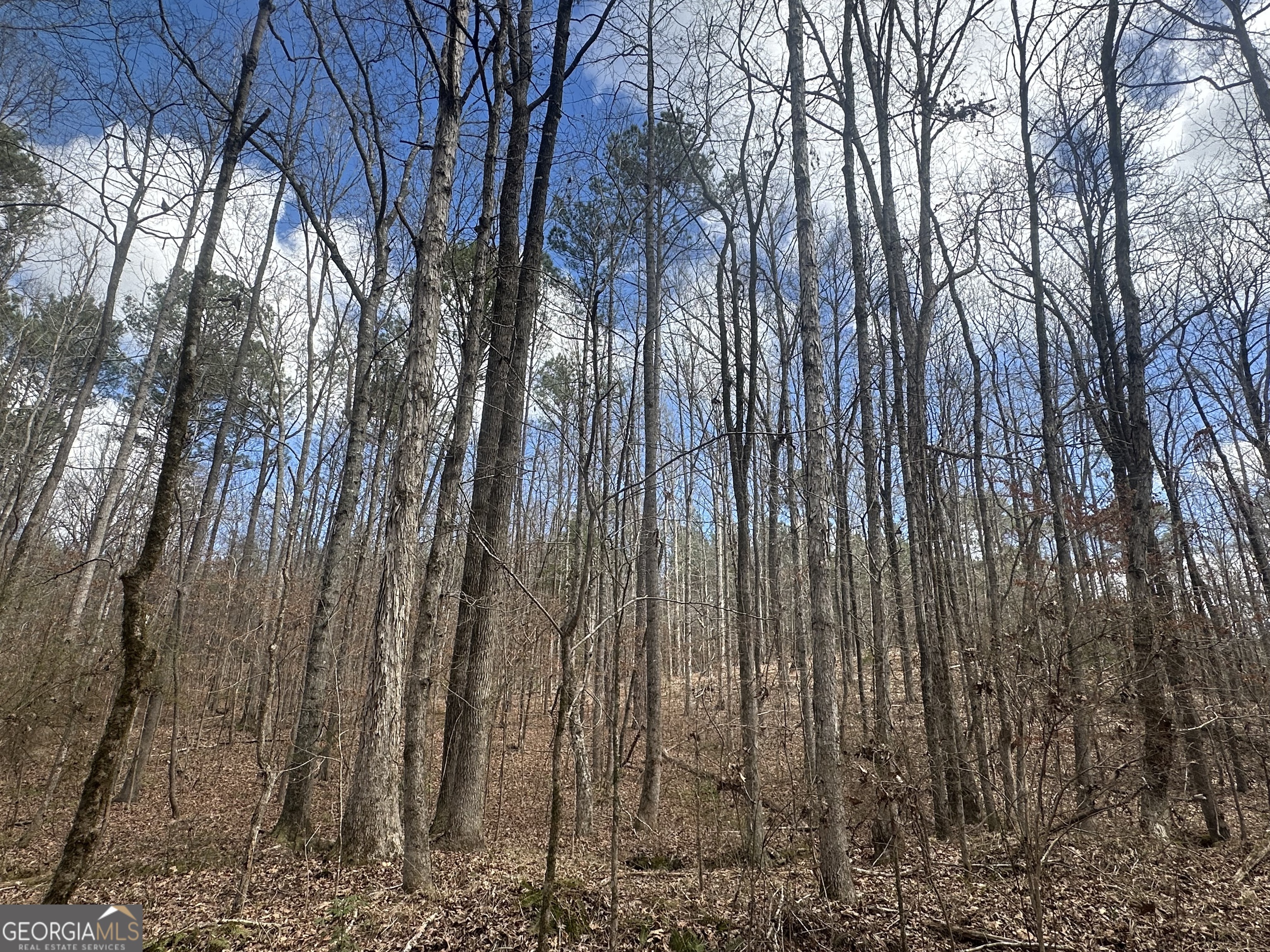0 Gibson Road Talbotton GA 31827