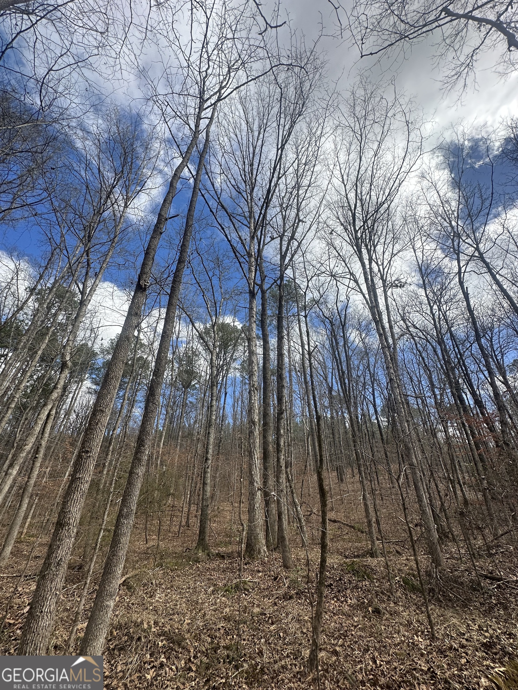 0 Gibson Road Talbotton GA 31827