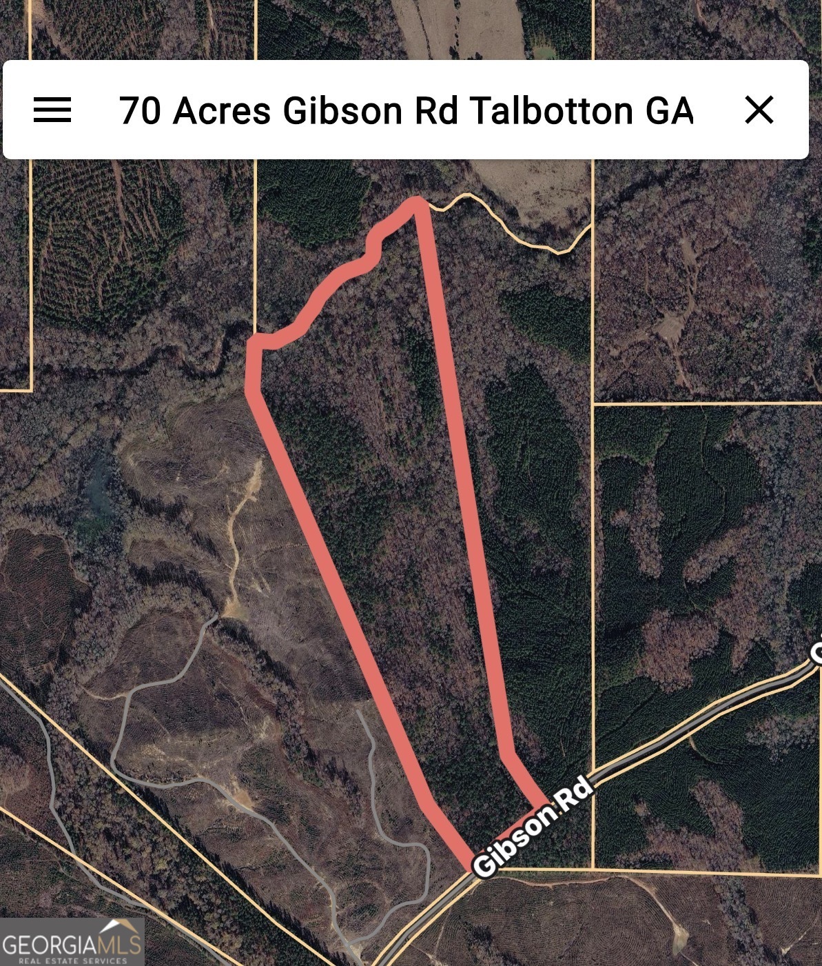 0 Gibson Road Talbotton GA 31827