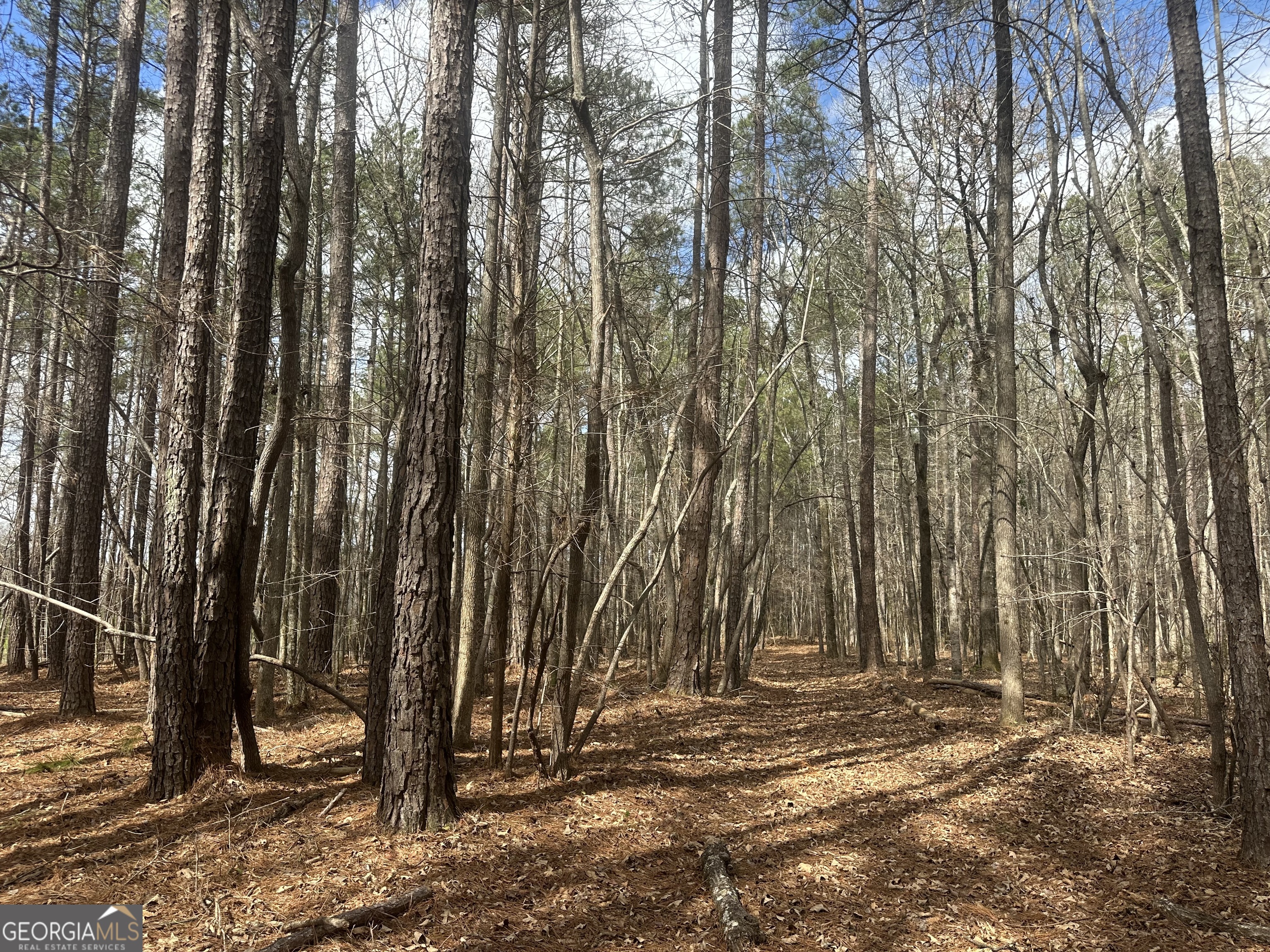 0 Gibson Road Talbotton GA 31827