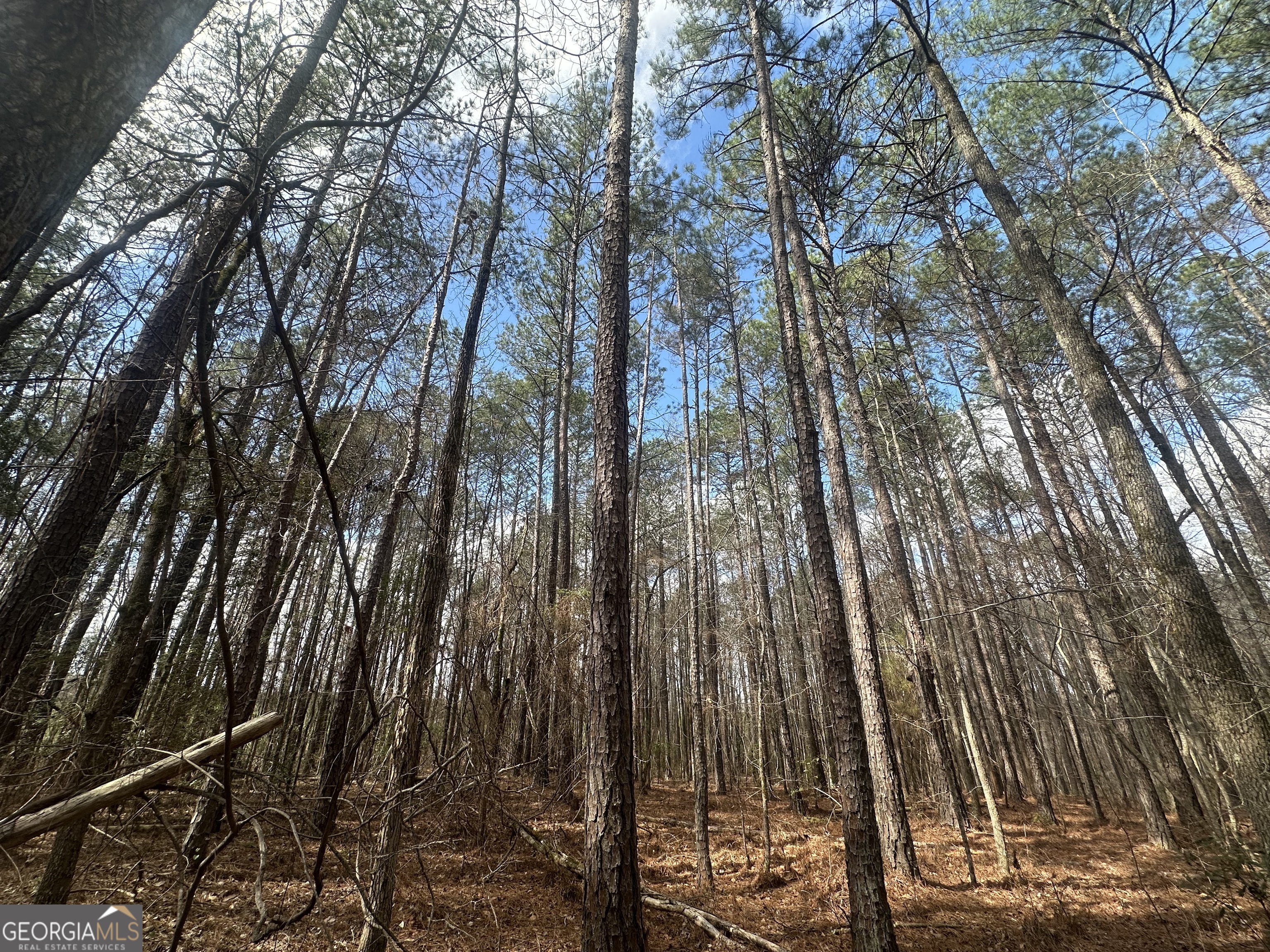 0 Gibson Road Talbotton GA 31827