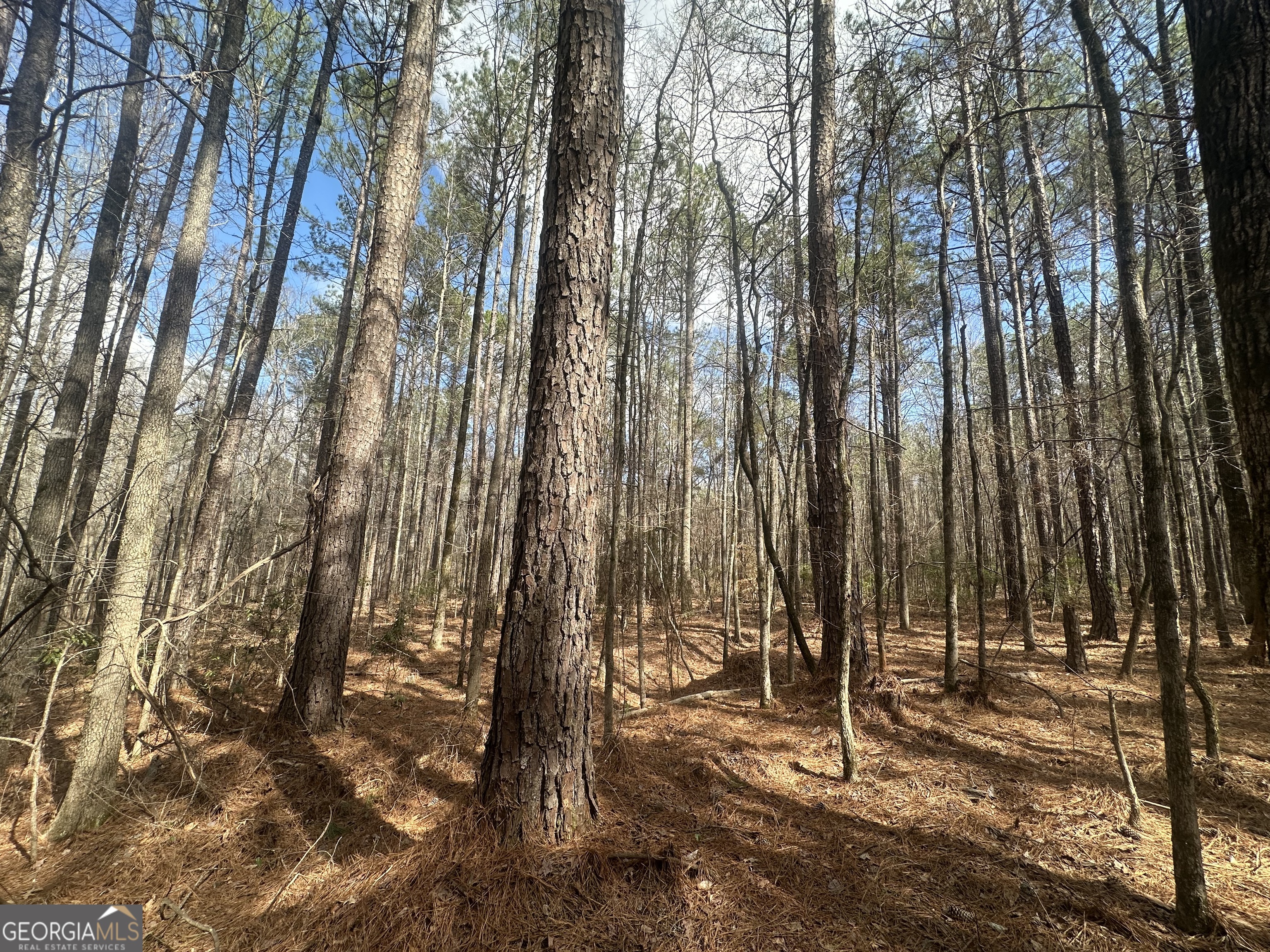 0 Gibson Road Talbotton GA 31827