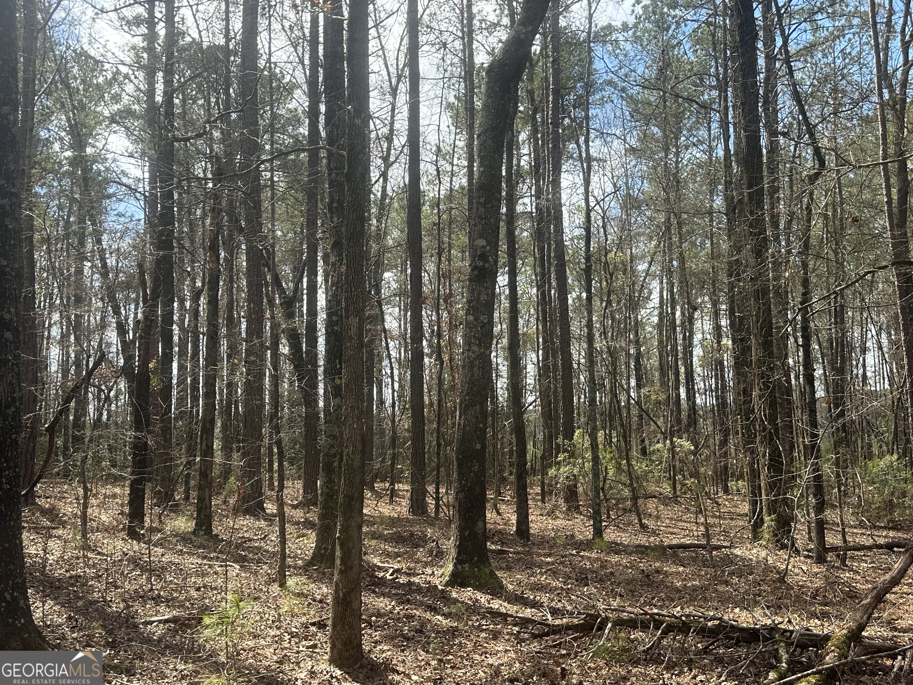 0 Gibson Road Talbotton GA 31827