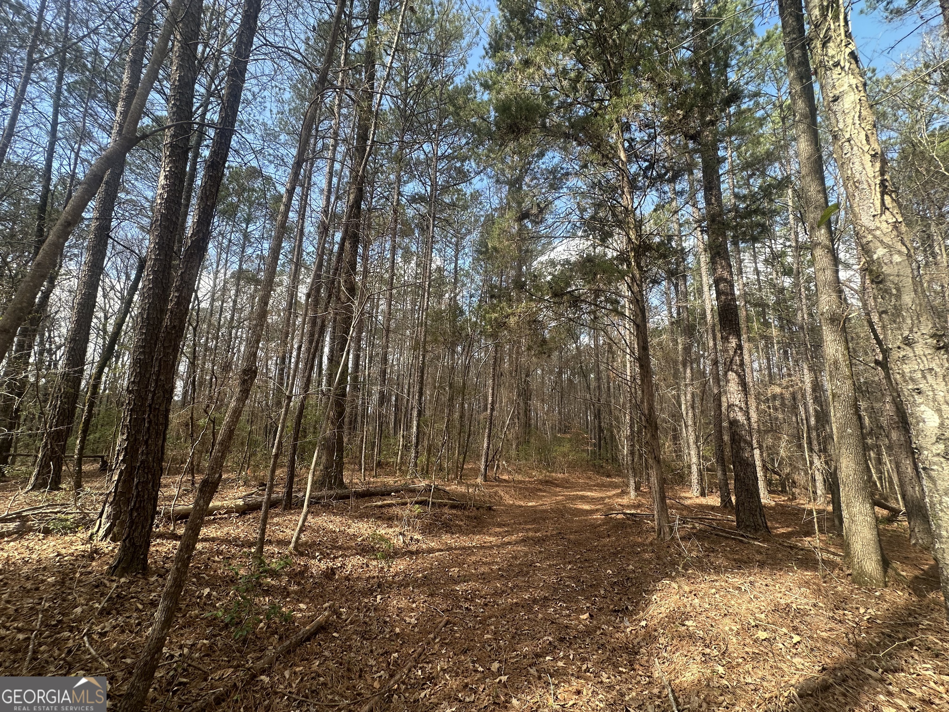 0 Gibson Road Talbotton GA 31827