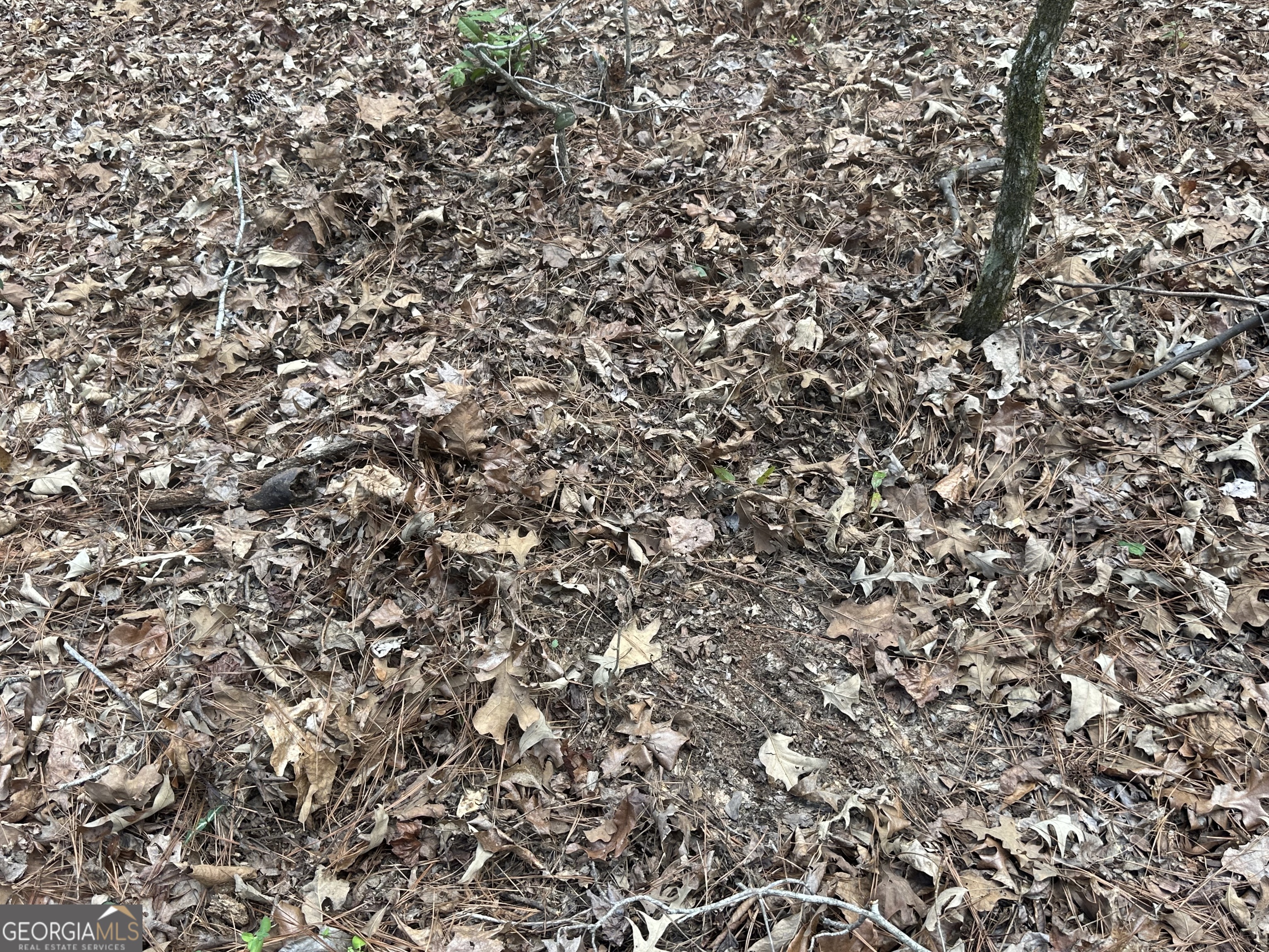 0 Gibson Road Talbotton GA 31827