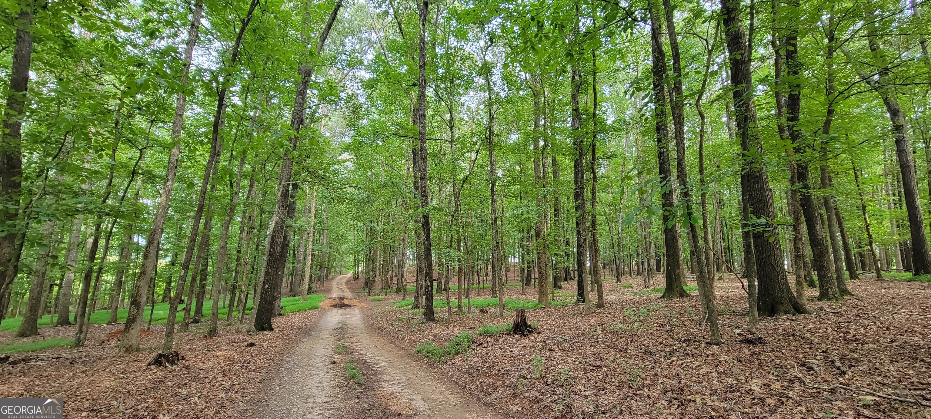 2080 Highway 11 S Mansfield GA 30055