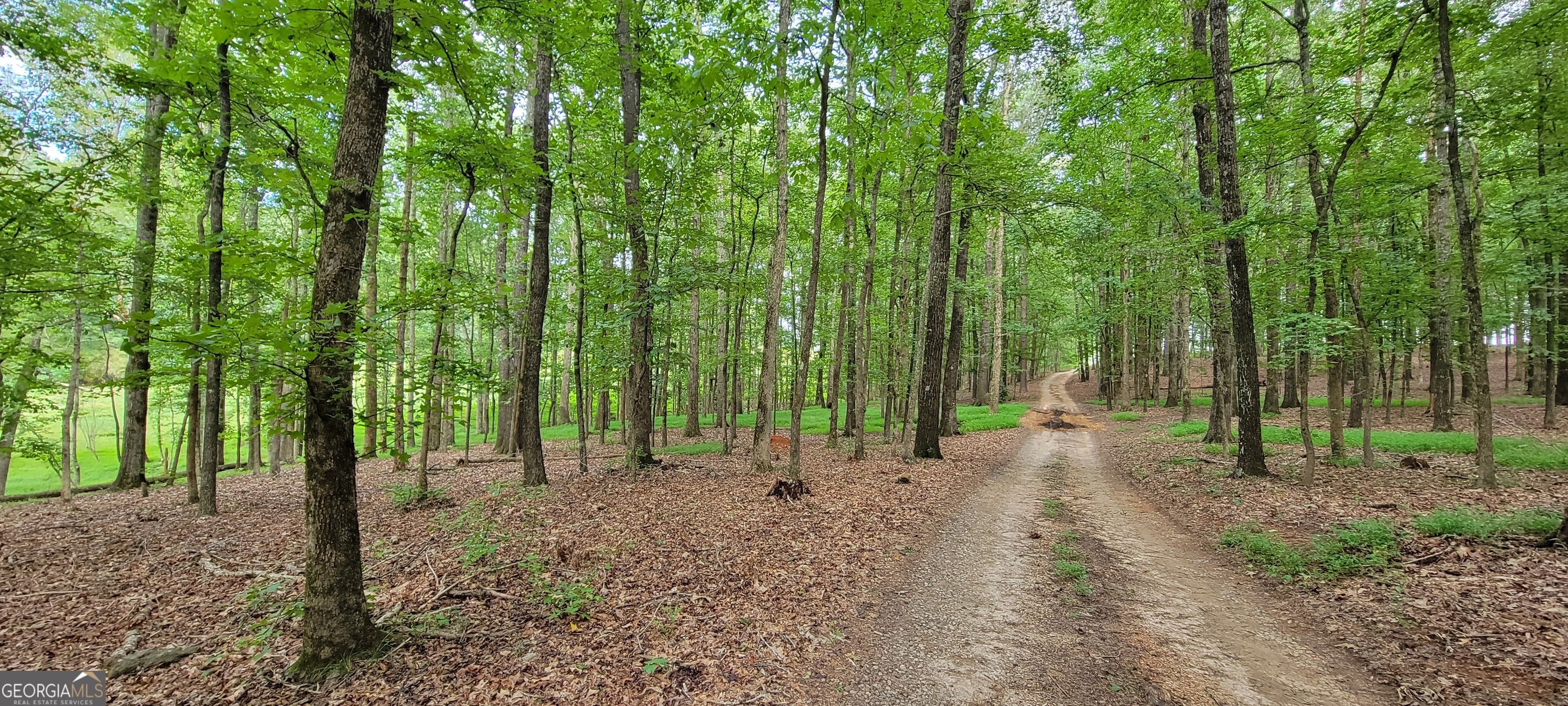 2080 Highway 11 S Mansfield GA 30055