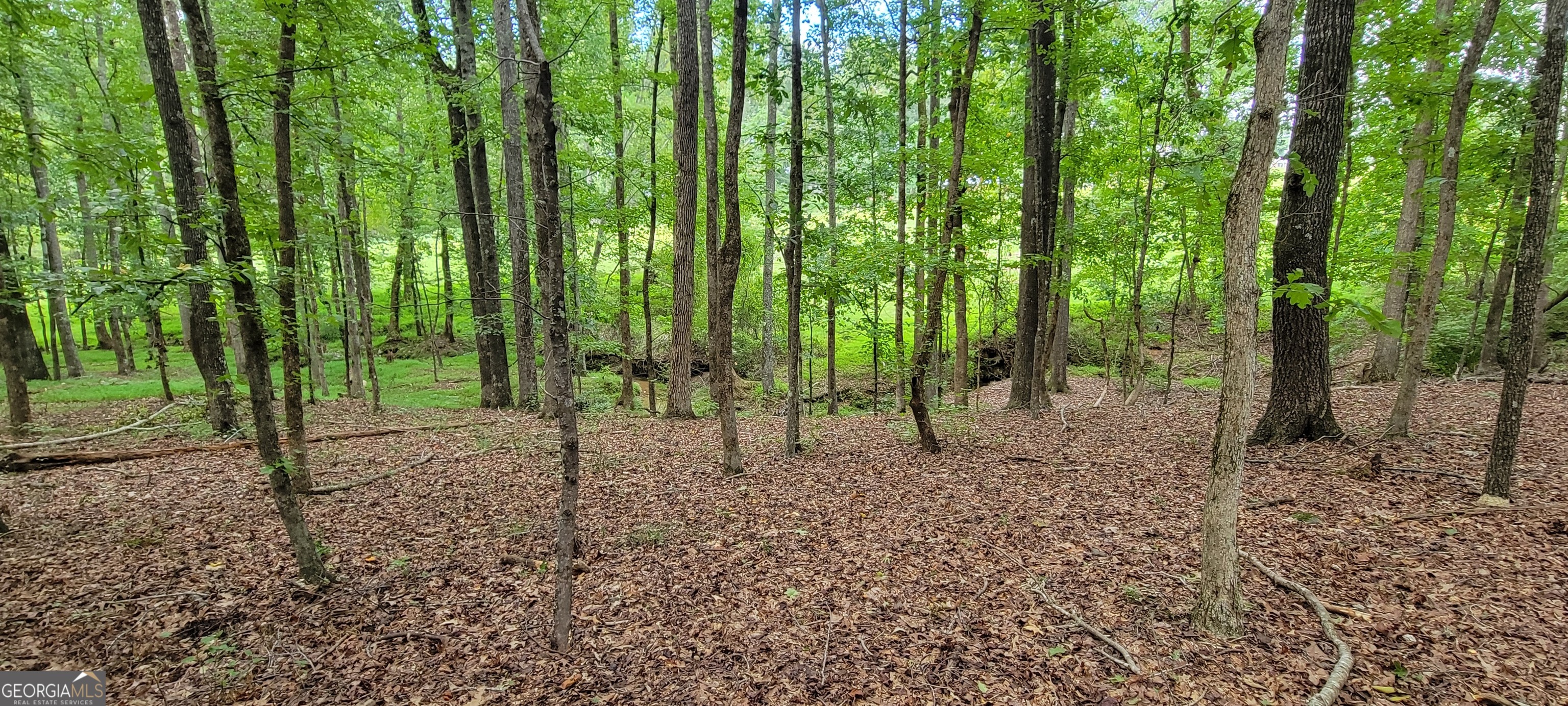 2080 Highway 11 S Mansfield GA 30055