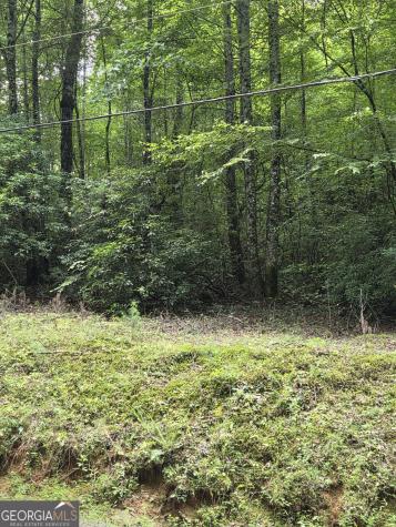 0 Chopped Oak Ellijay GA 30540