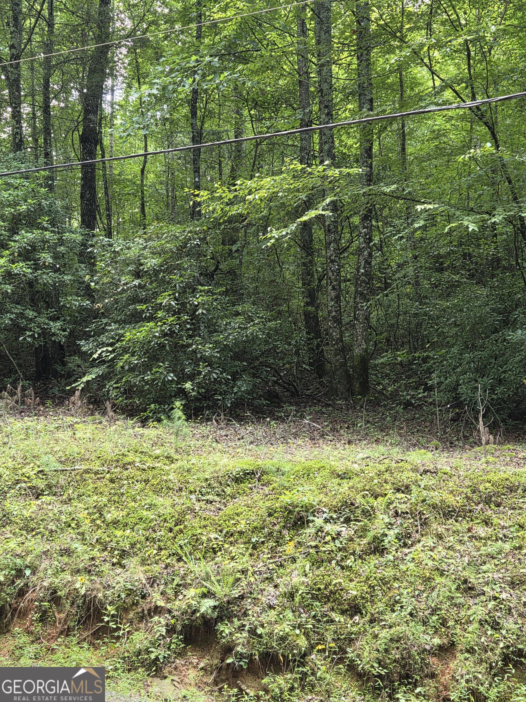 0 Chopped Oak Ellijay GA 30540