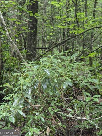 0 Chopped Oak Ellijay GA 30540