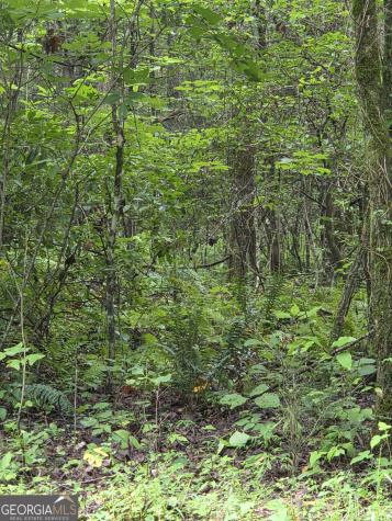 0 Chopped Oak Ellijay GA 30540
