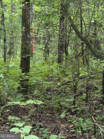 0 Chopped Oak Ellijay GA 30540