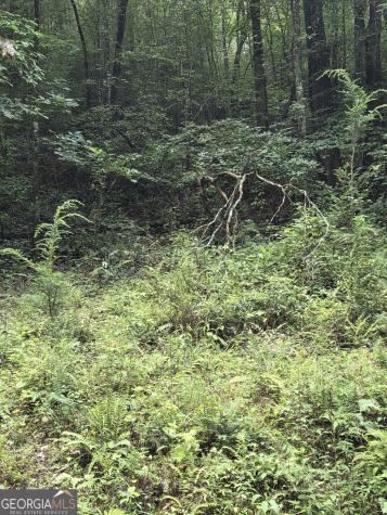 0 Chopped Oak Ellijay GA 30540