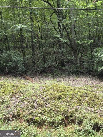 0 Chopped Oak Ellijay GA 30540