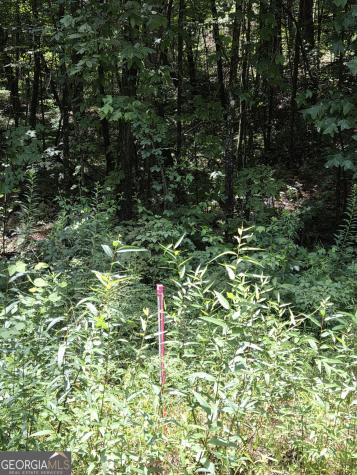 0 Chopped Oak Ellijay GA 30540