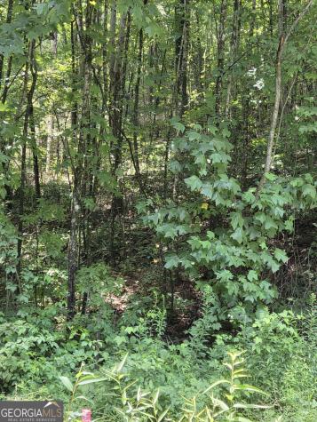0 Chopped Oak Ellijay GA 30540