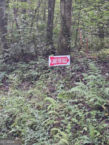 0 Chopped Oak Ellijay GA 30540