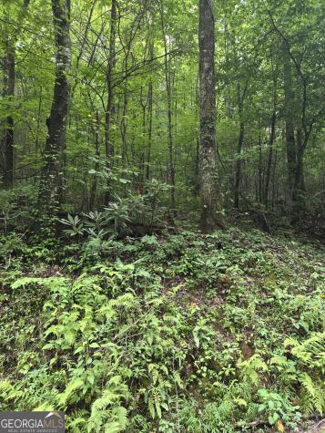 0 Chopped Oak Ellijay GA 30540